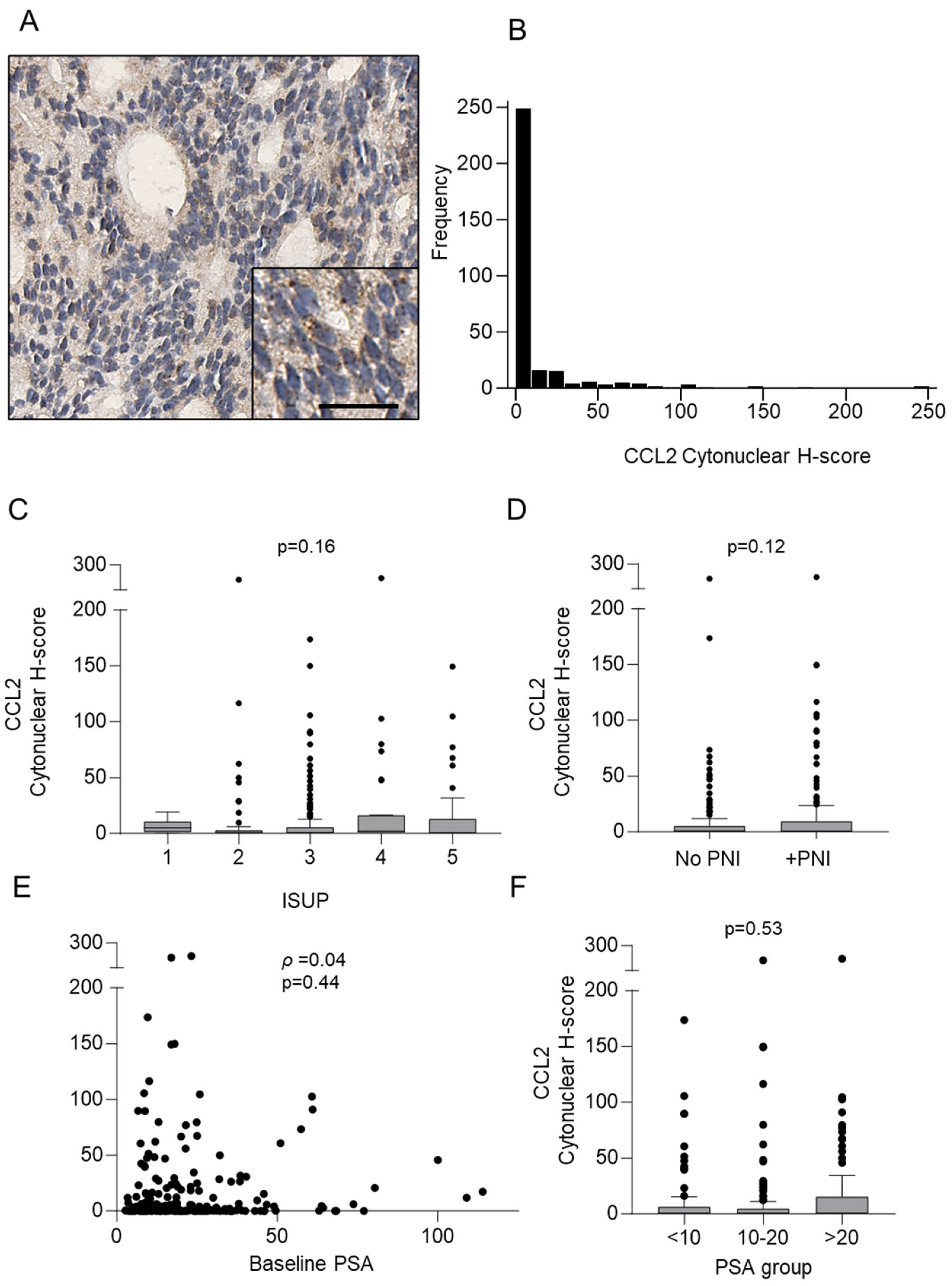 Cancers 16 02794 g002