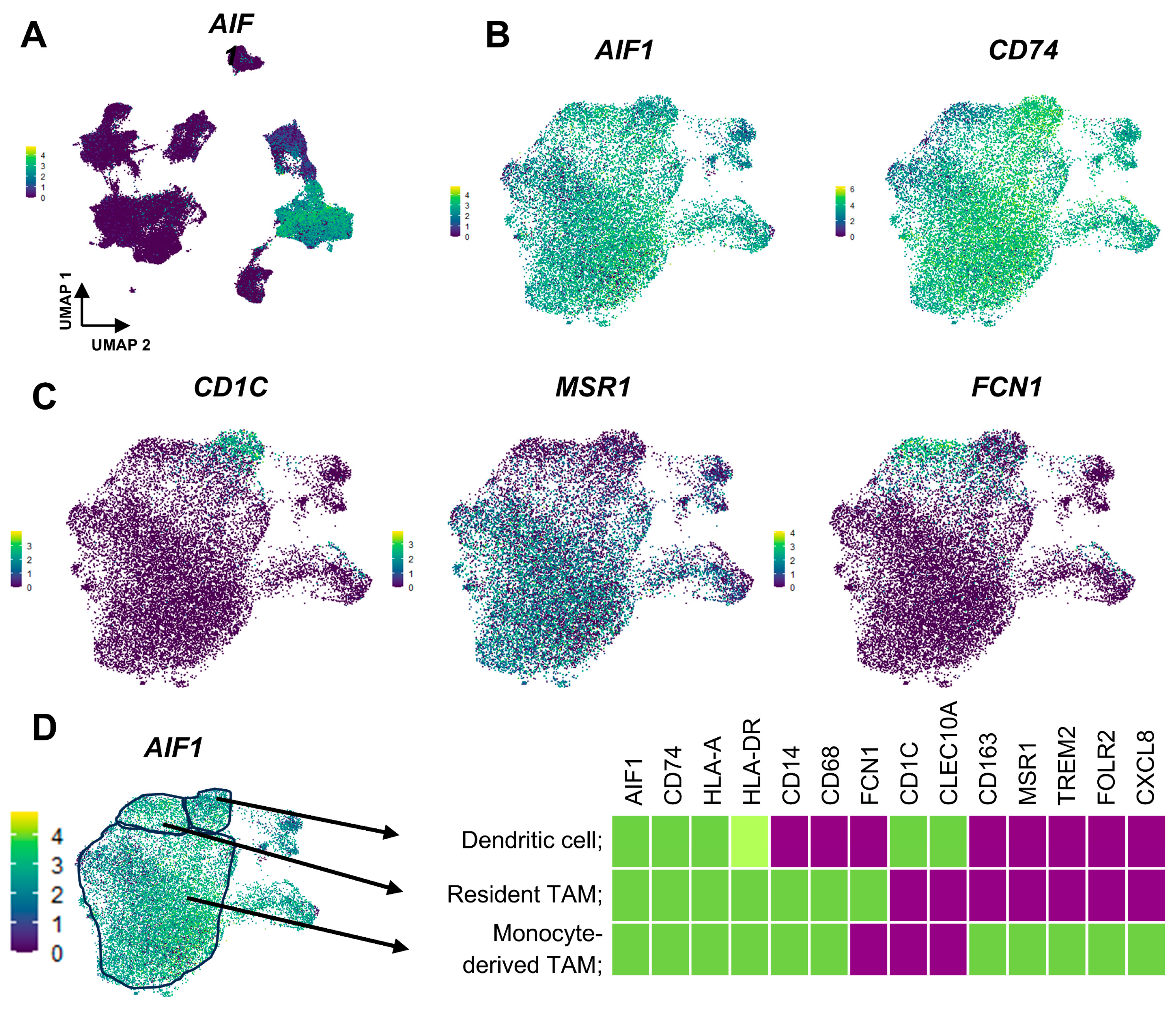 Cancers 16 02801 g003