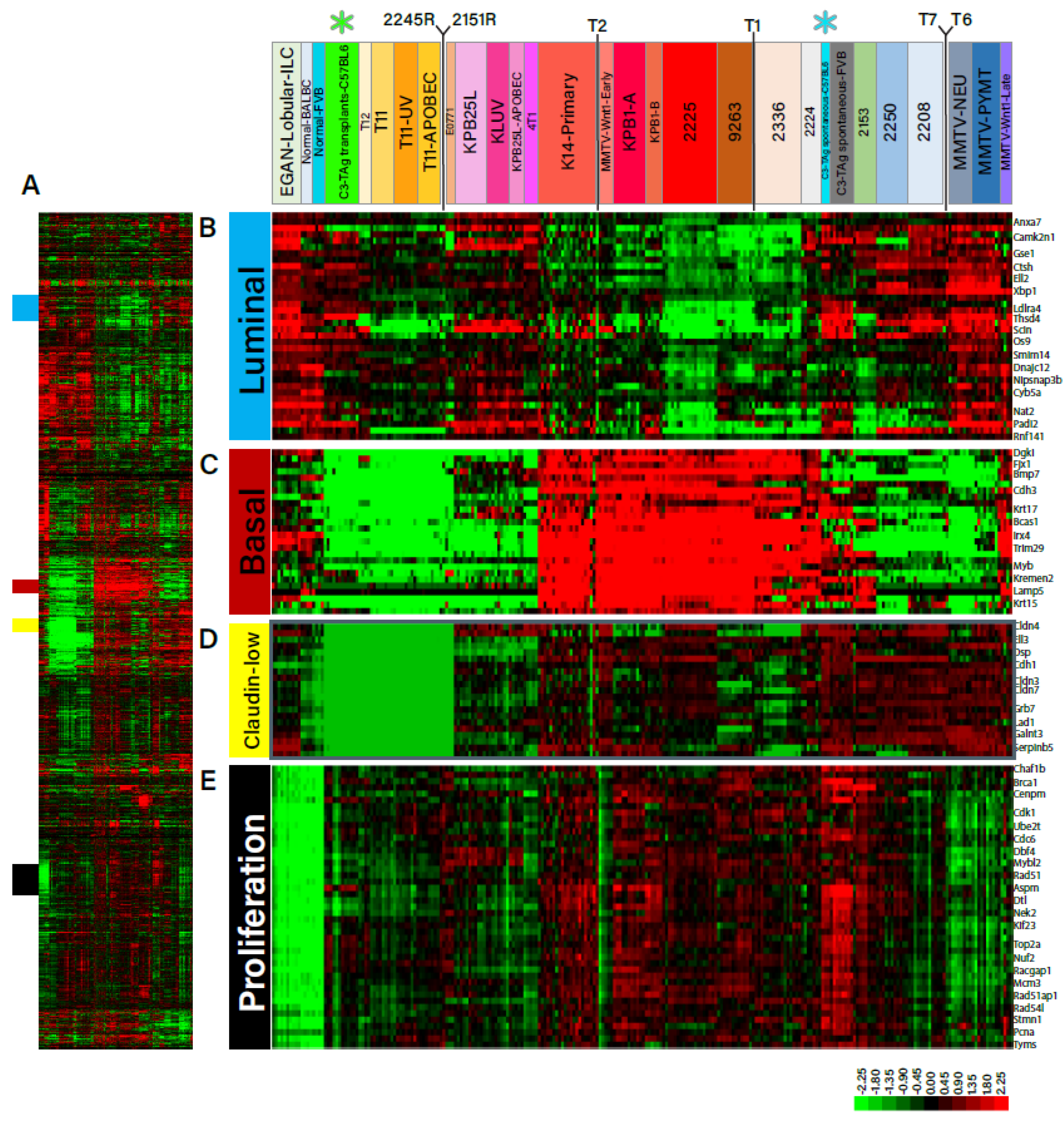 Cancers 16 02803 g004