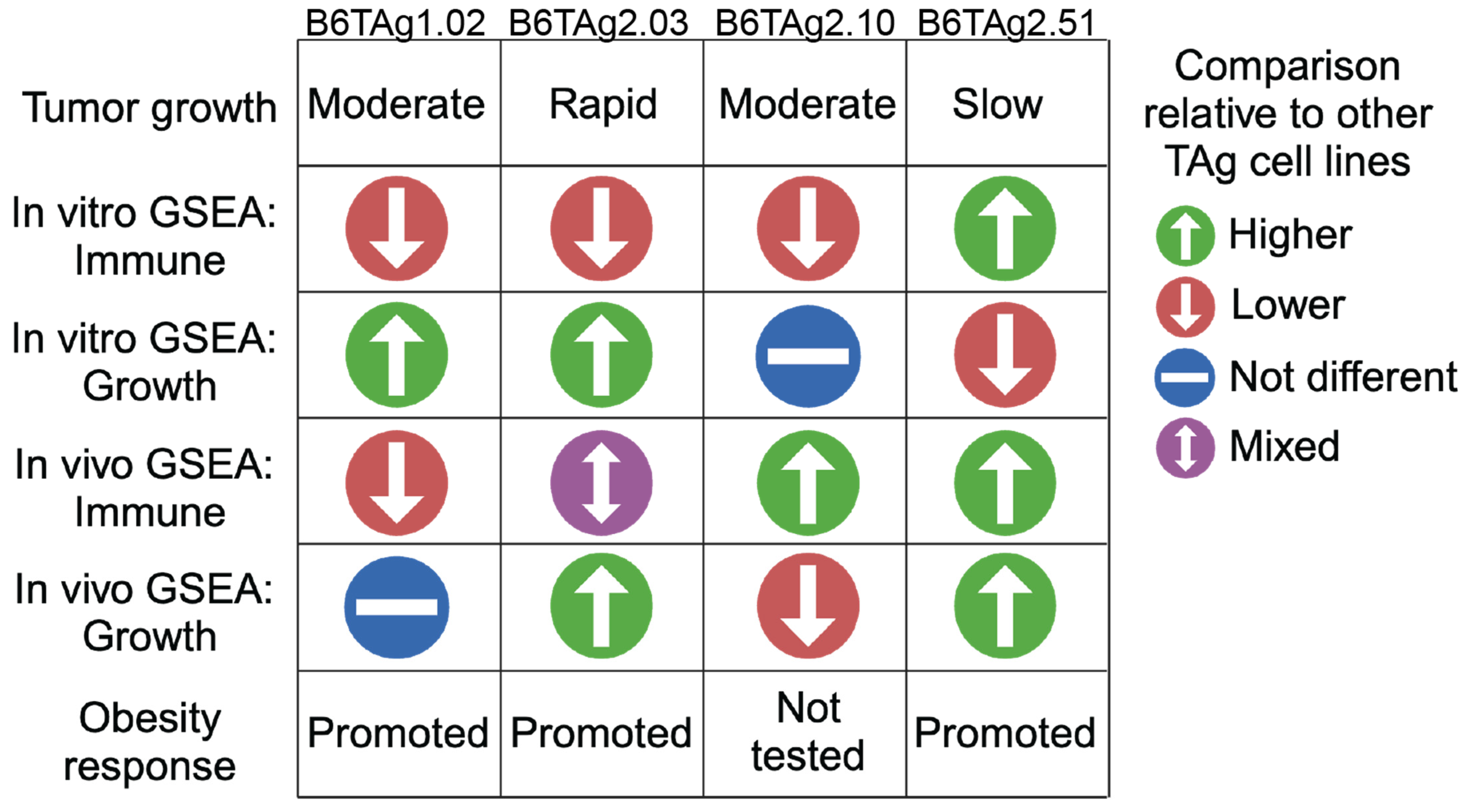 Cancers 16 02803 g007