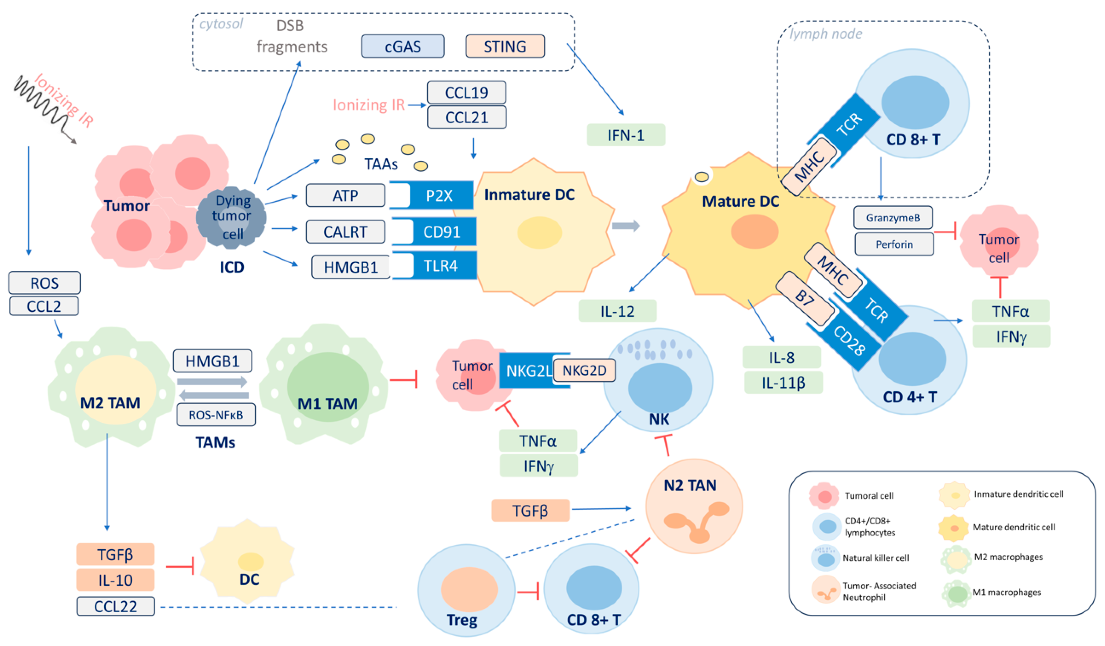 Cancers 16 02804 g003