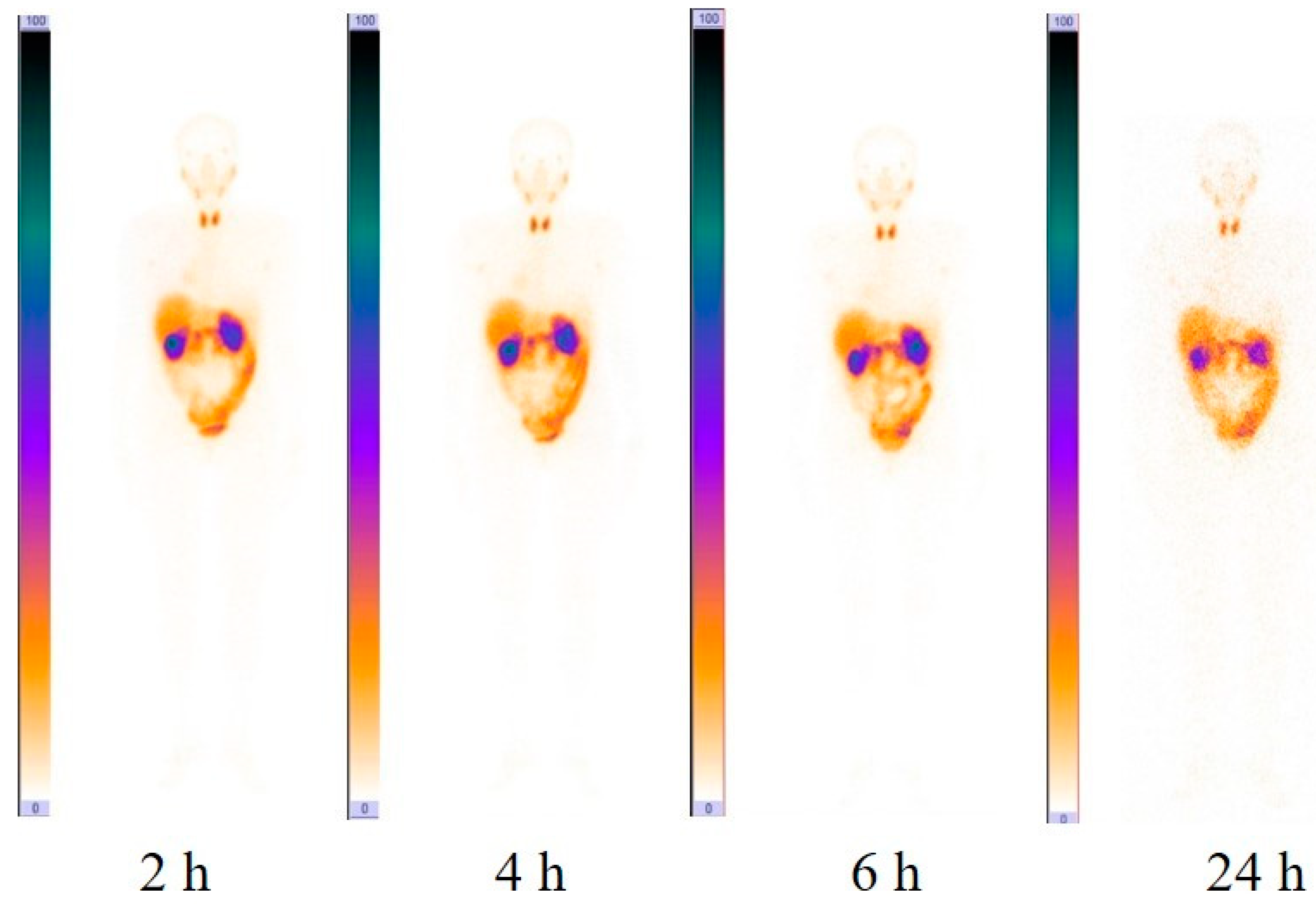 Cancers 16 02815 g001