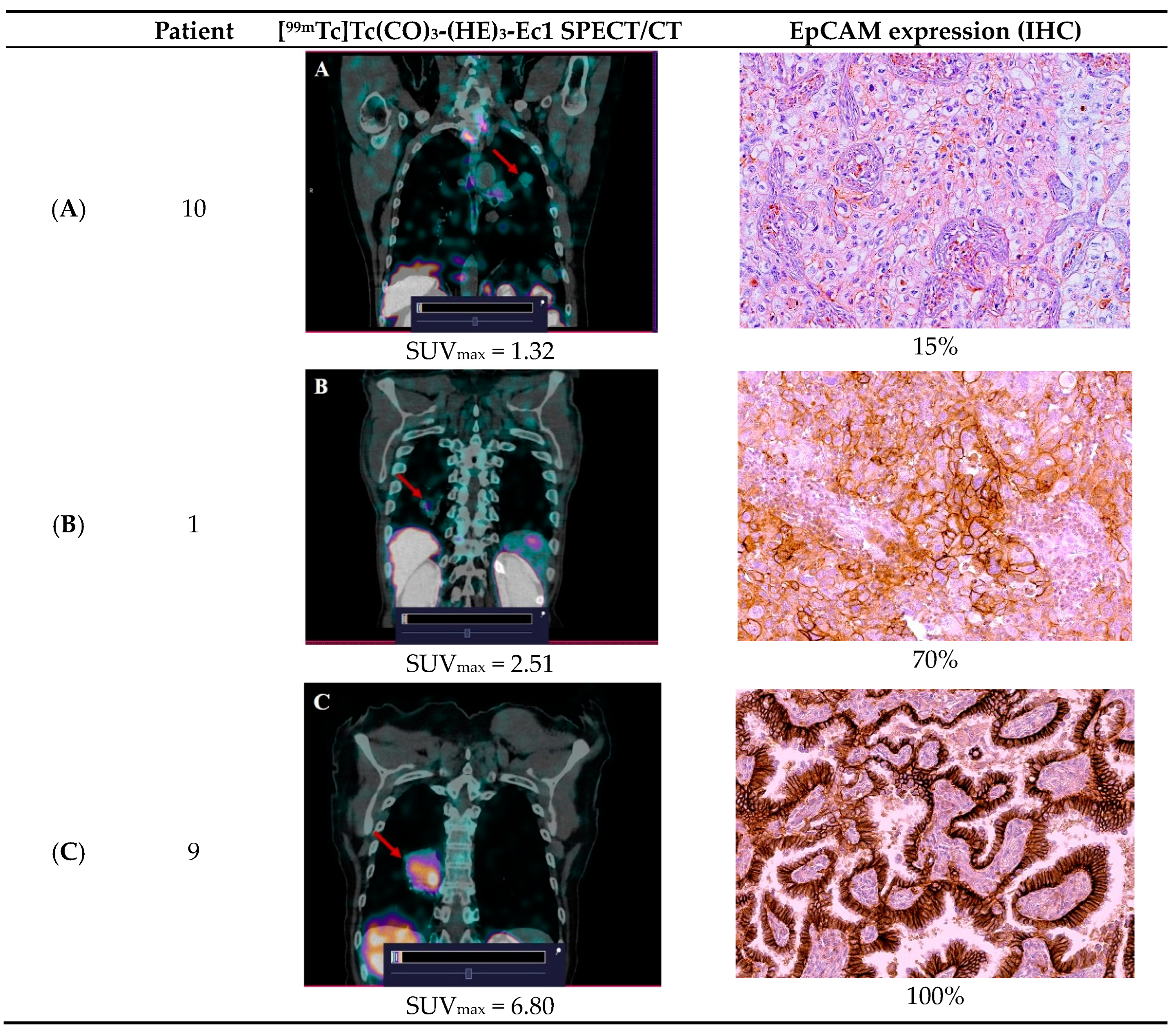 Cancers 16 02815 g004