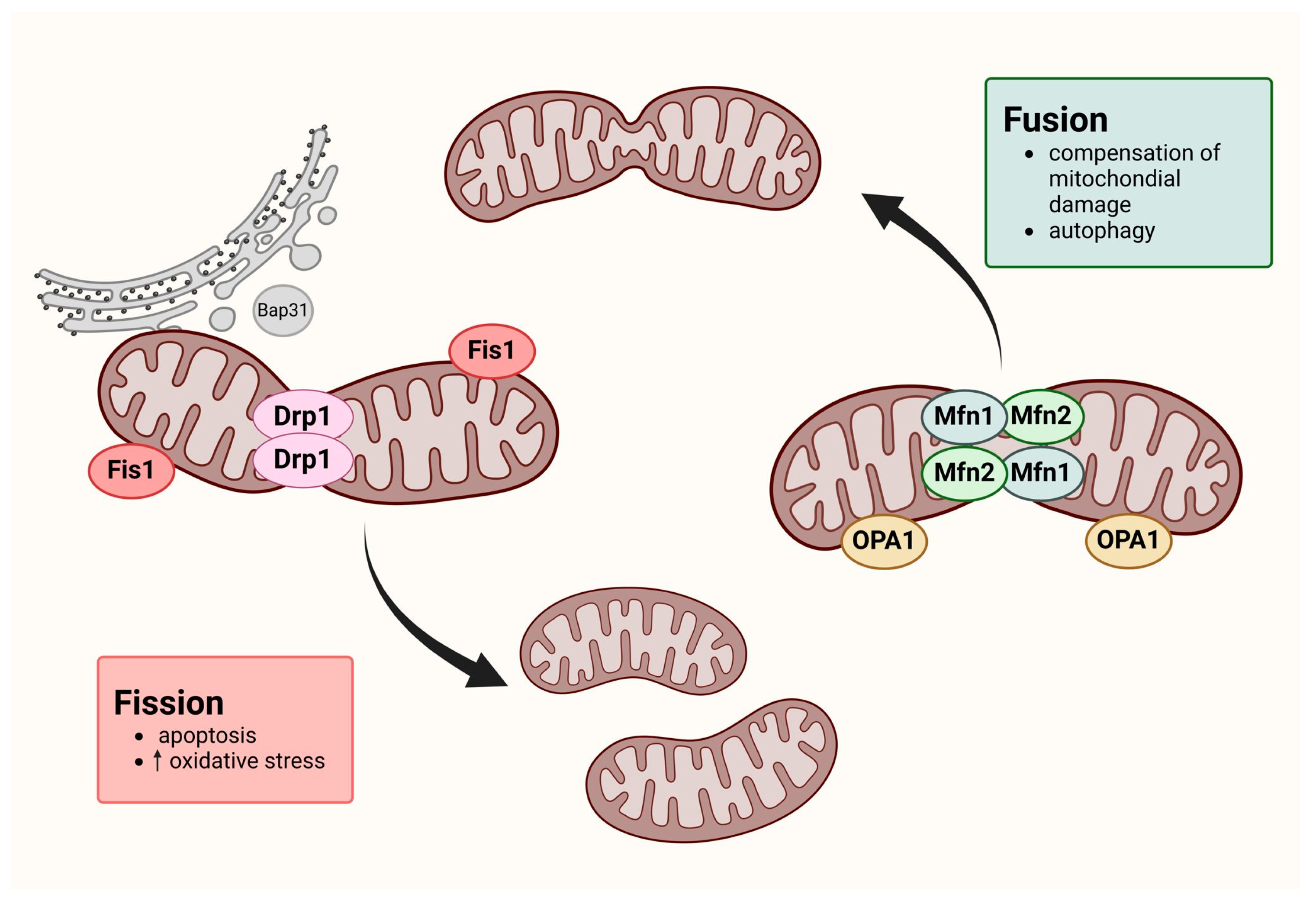 Cancers 16 02823 g001