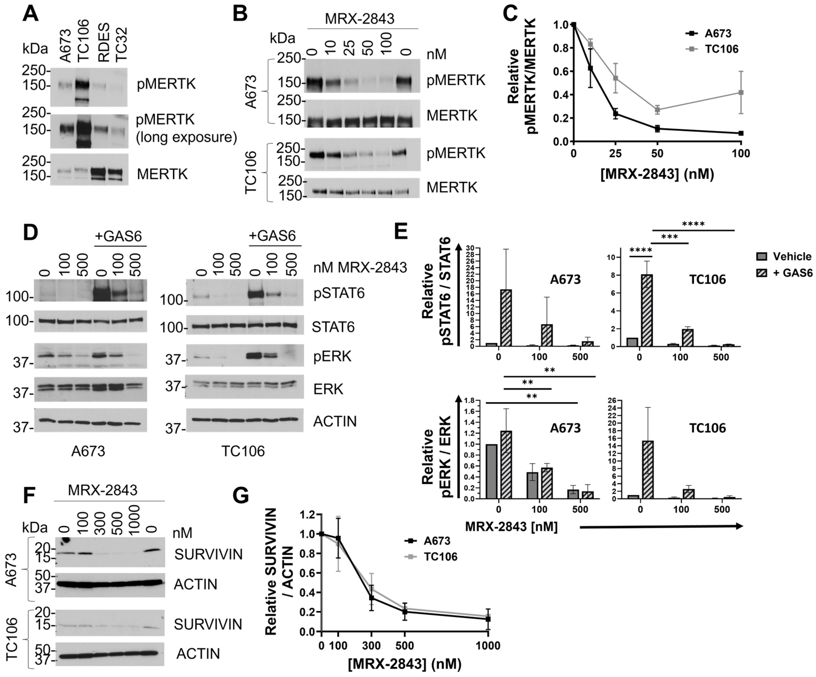 Cancers 16 02831 g004