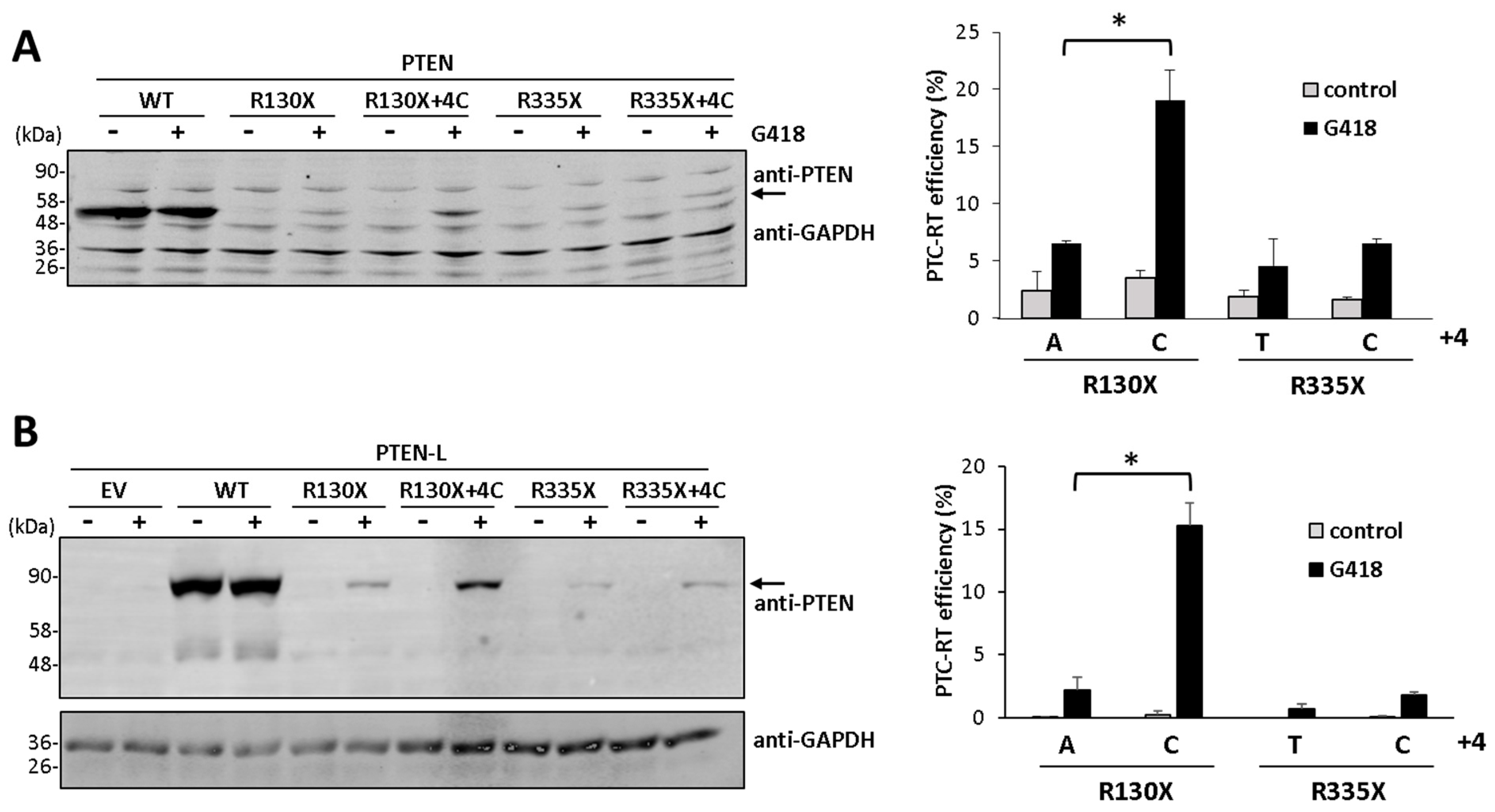 Cancers 16 02836 g002