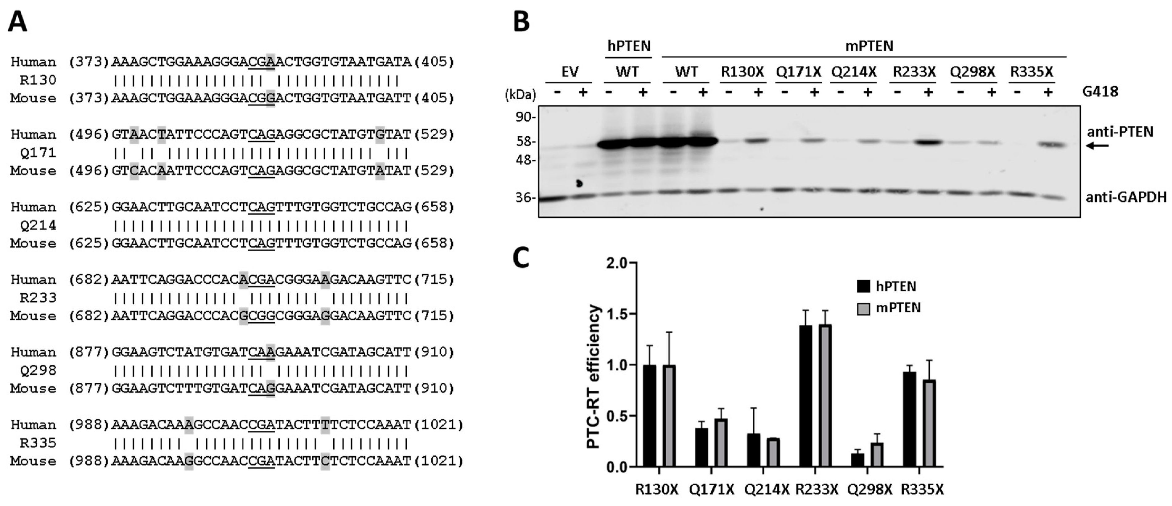 Cancers 16 02836 g003
