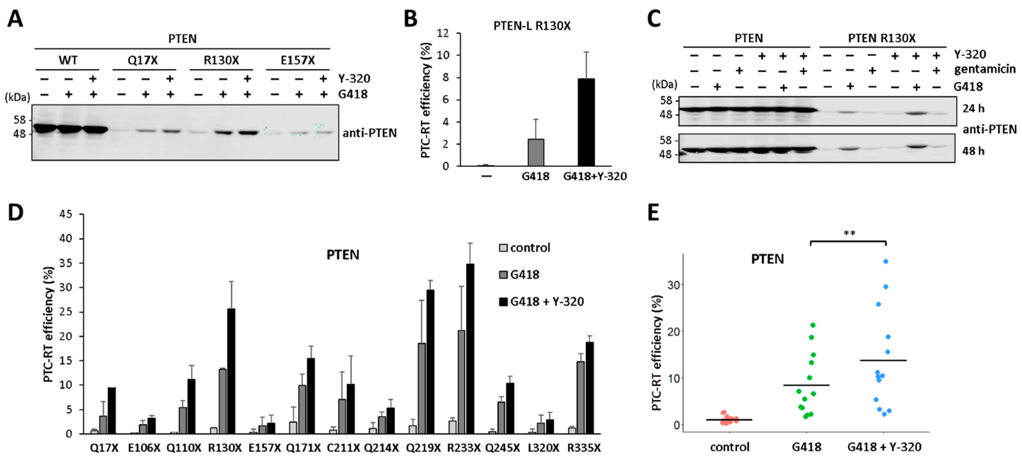 Cancers 16 02836 g006