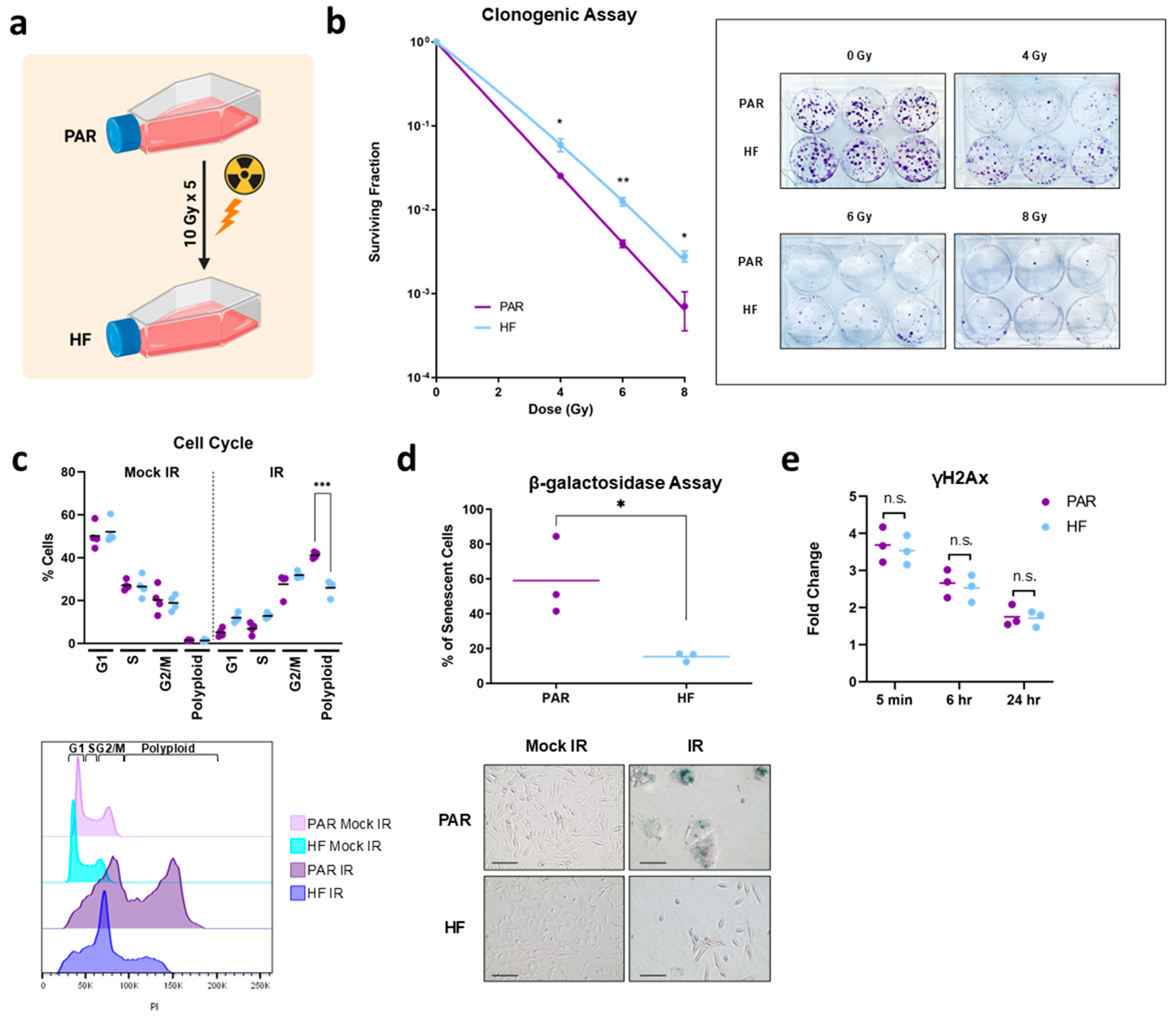 Cancers 16 02839 g001