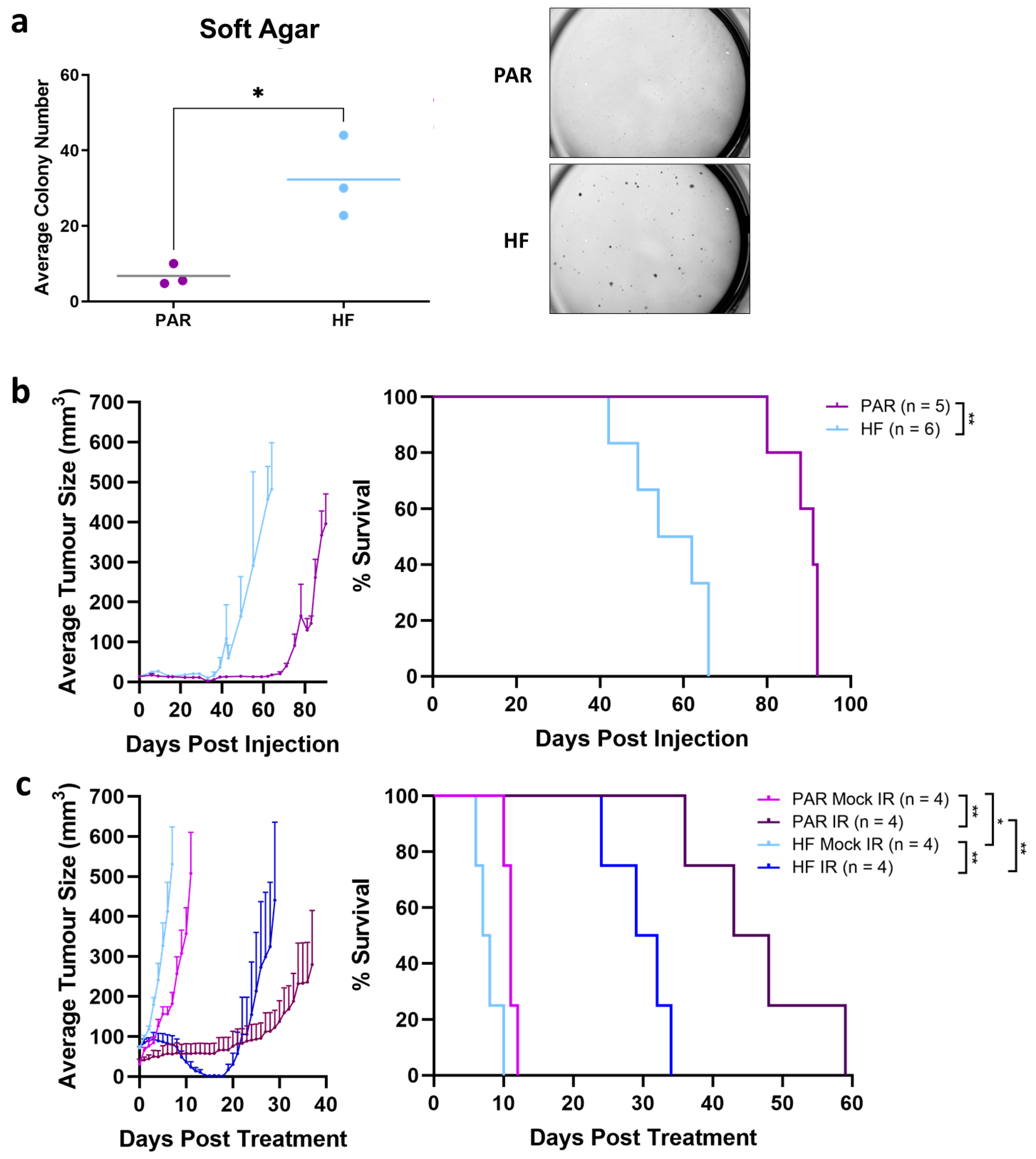 Cancers 16 02839 g002