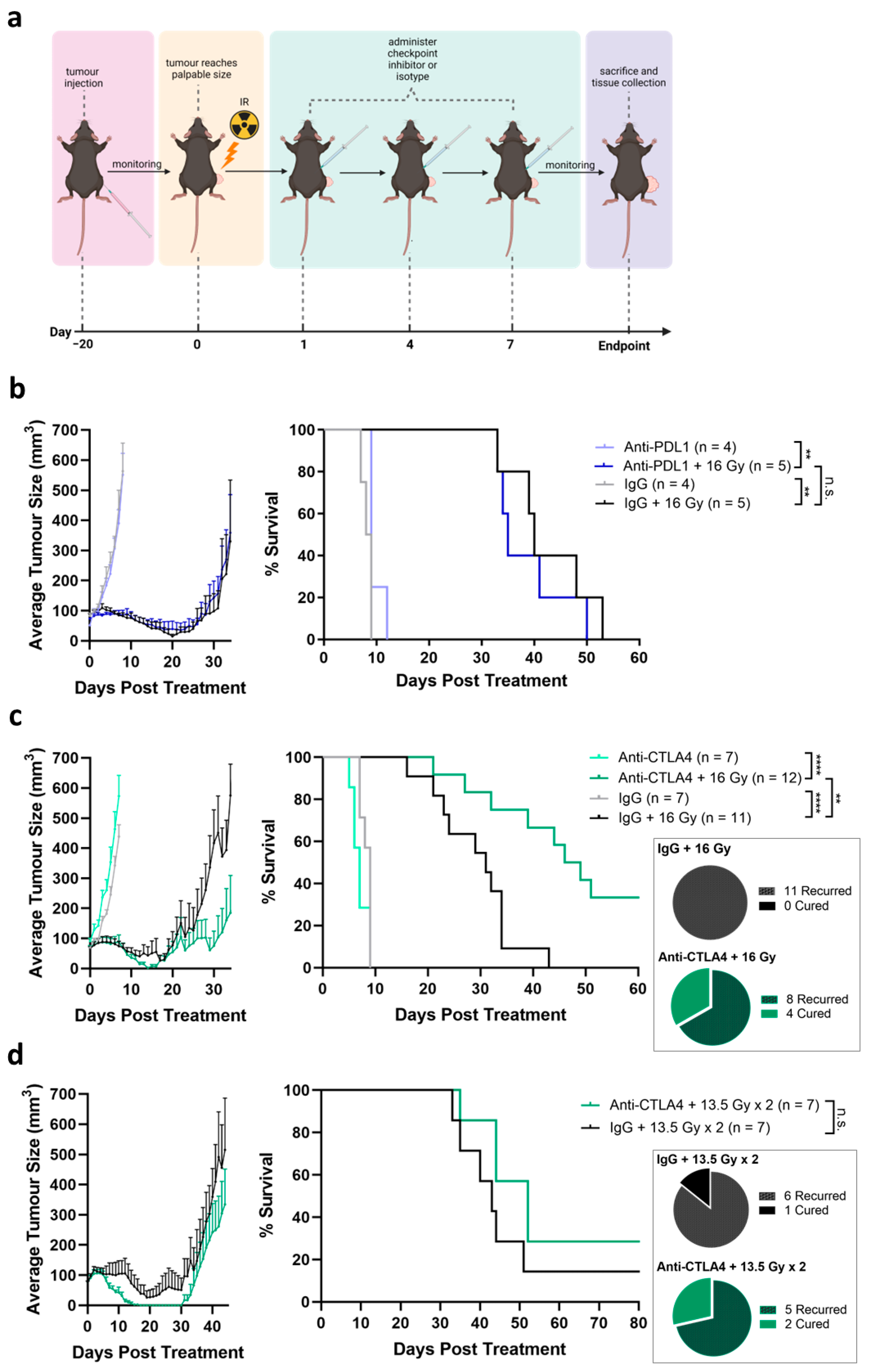 Cancers 16 02839 g004