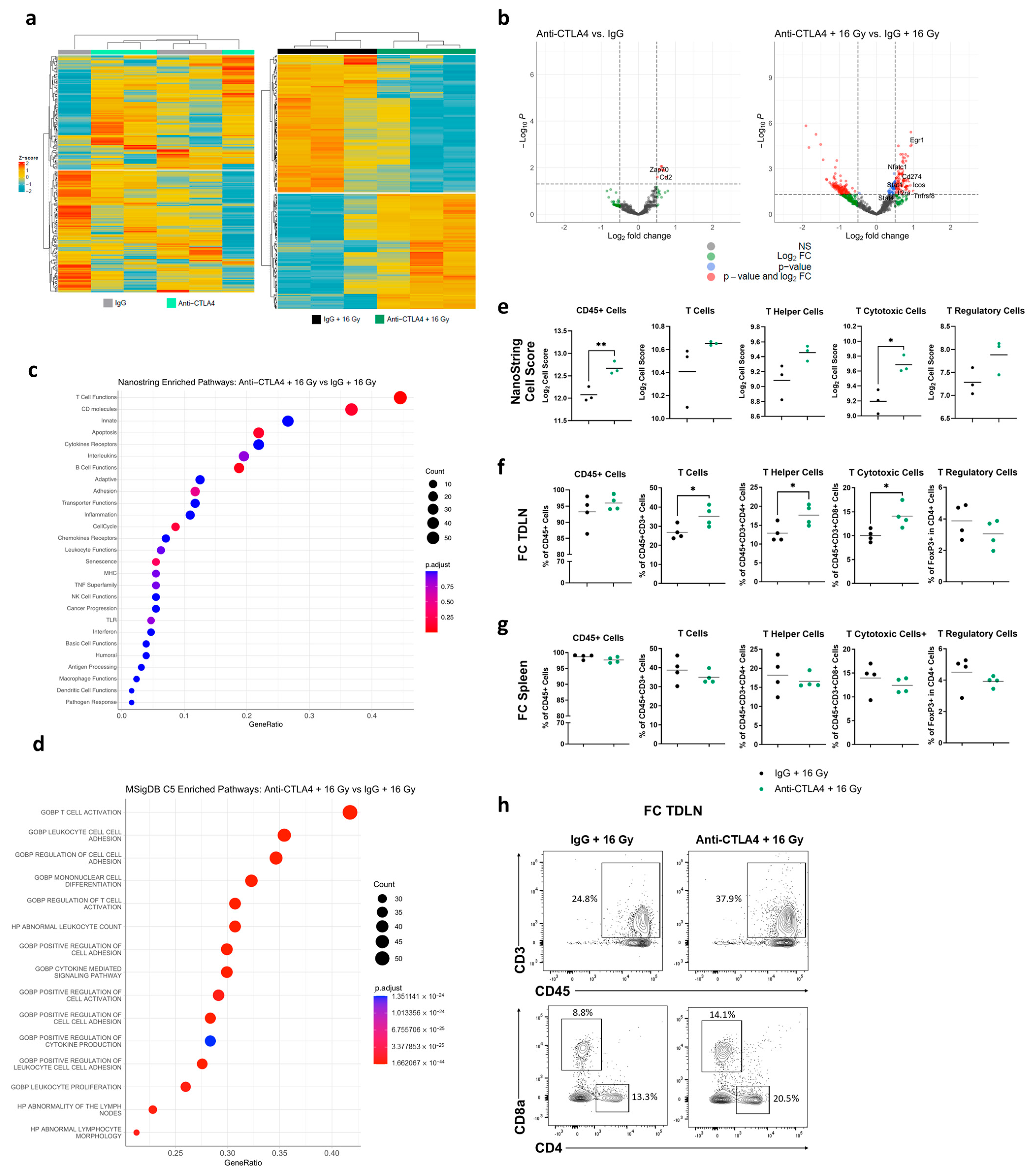 Cancers 16 02839 g005