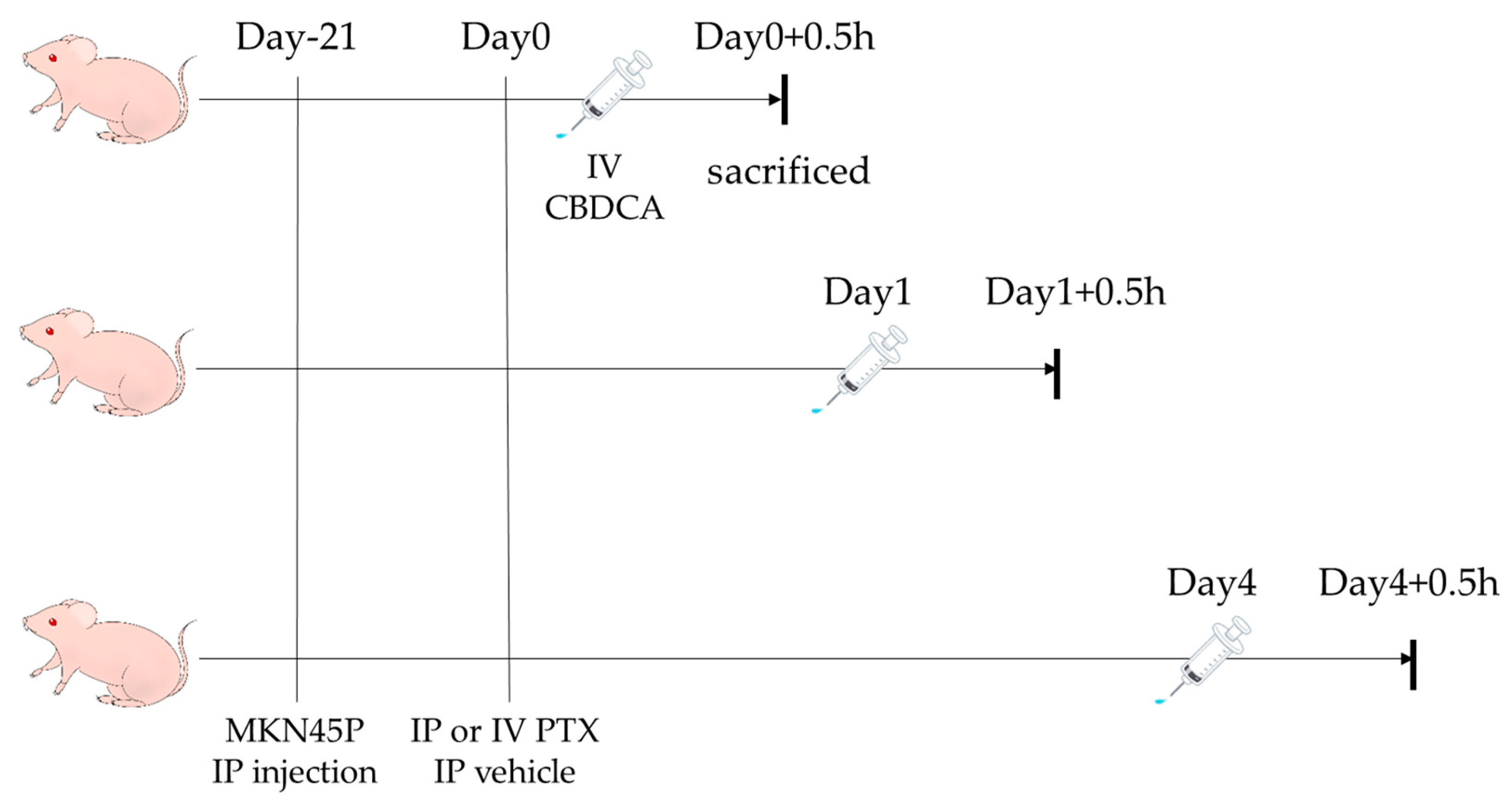 Cancers 16 02841 g001