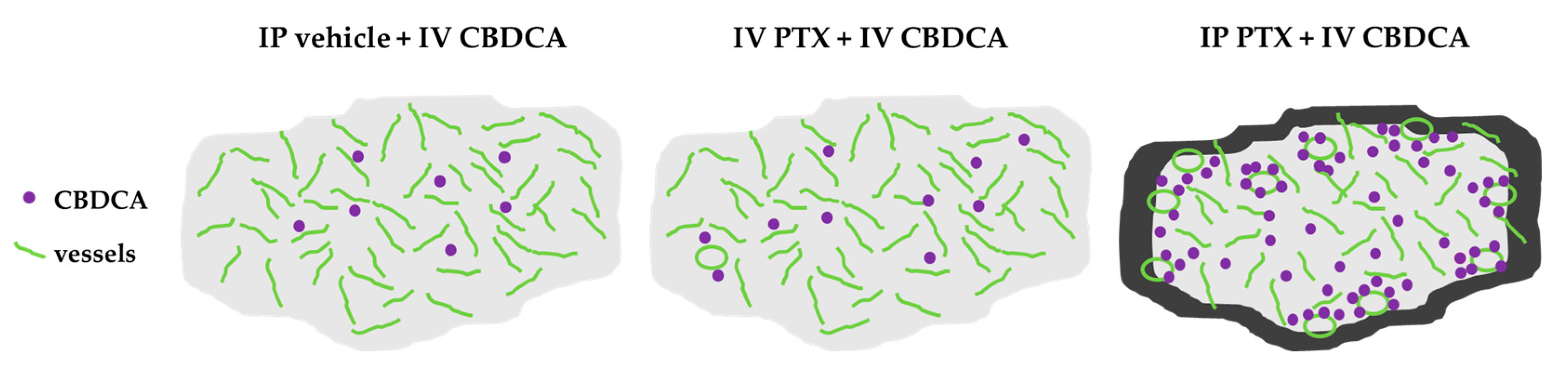 Cancers 16 02841 g005