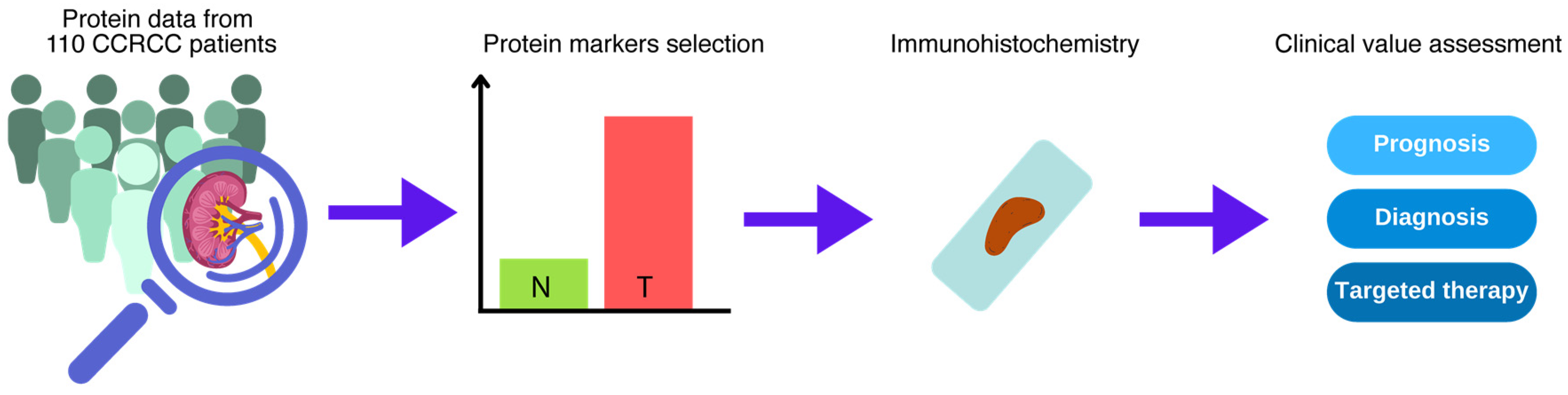 Cancers 16 02844 g001