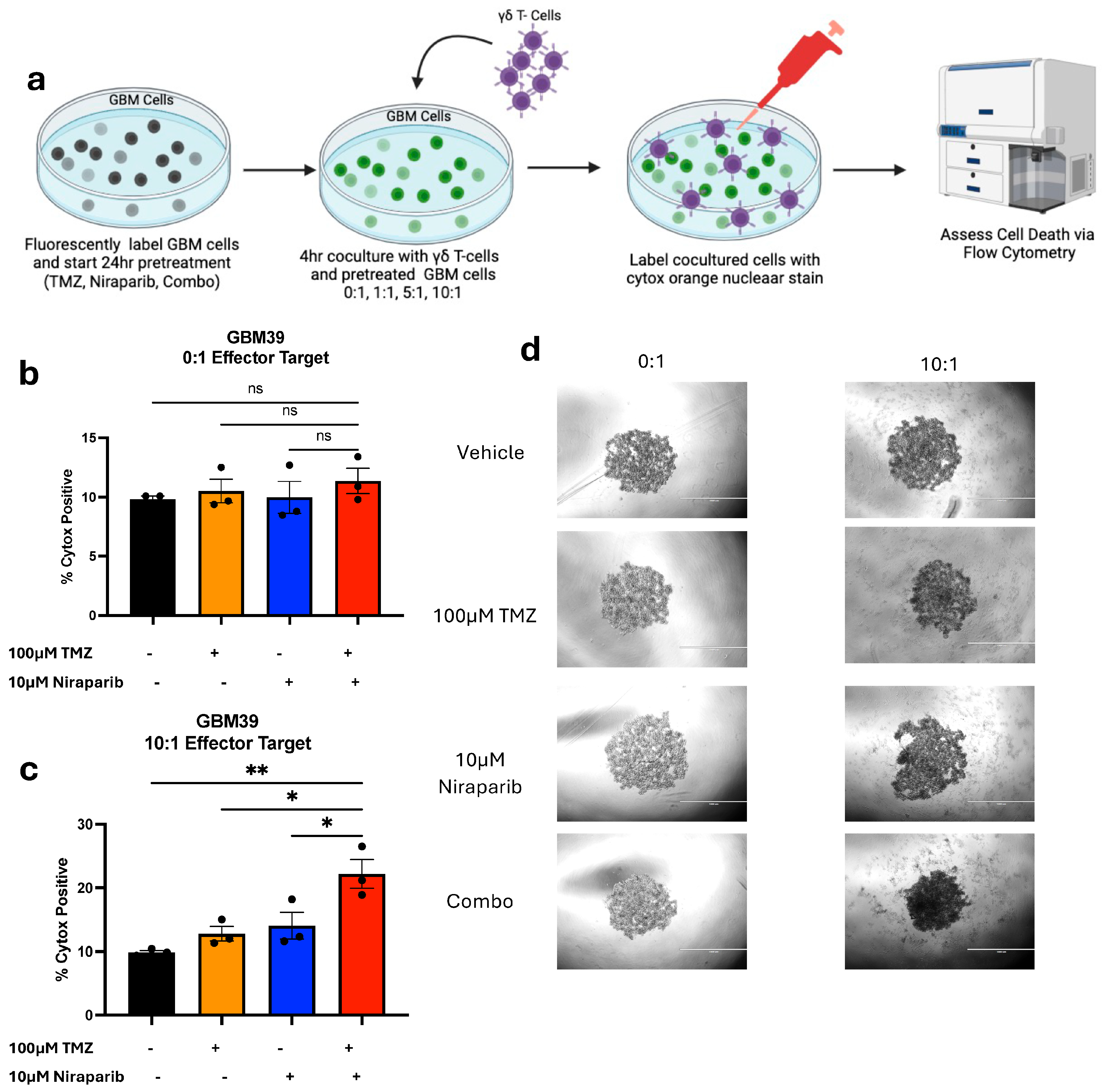 Cancers 16 02852 g005