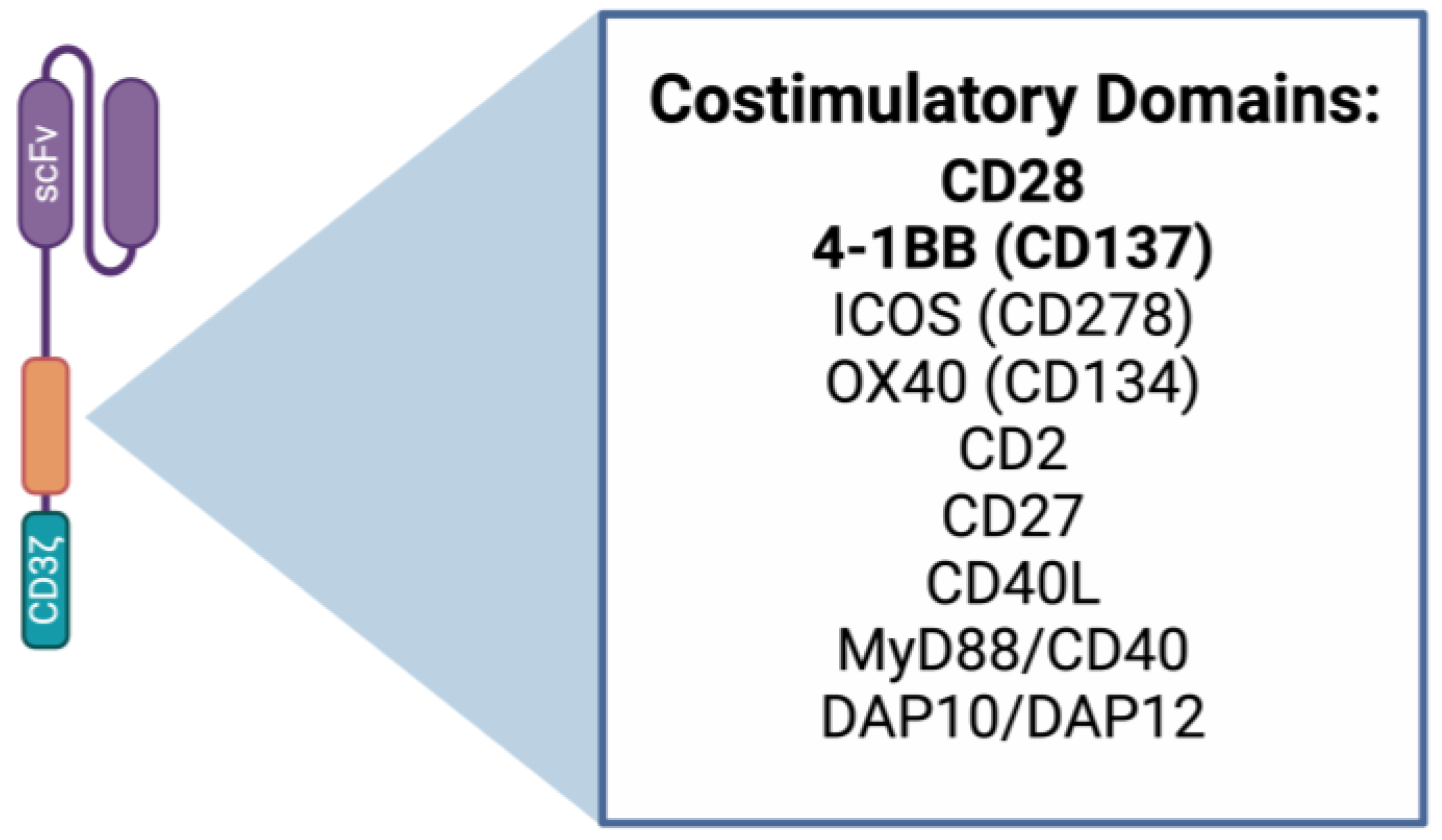 Cancers 16 02858 g002