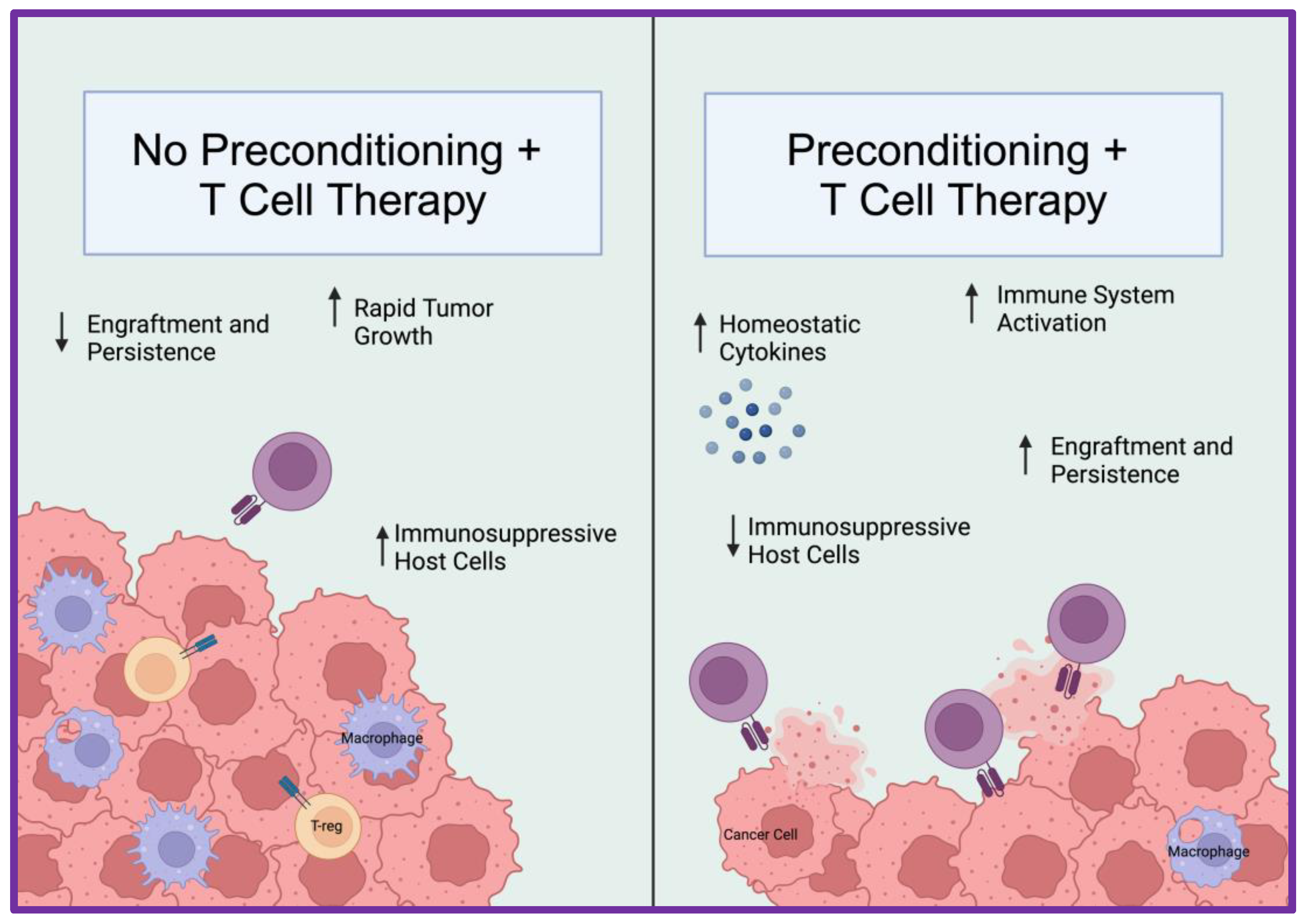 Cancers 16 02858 g003