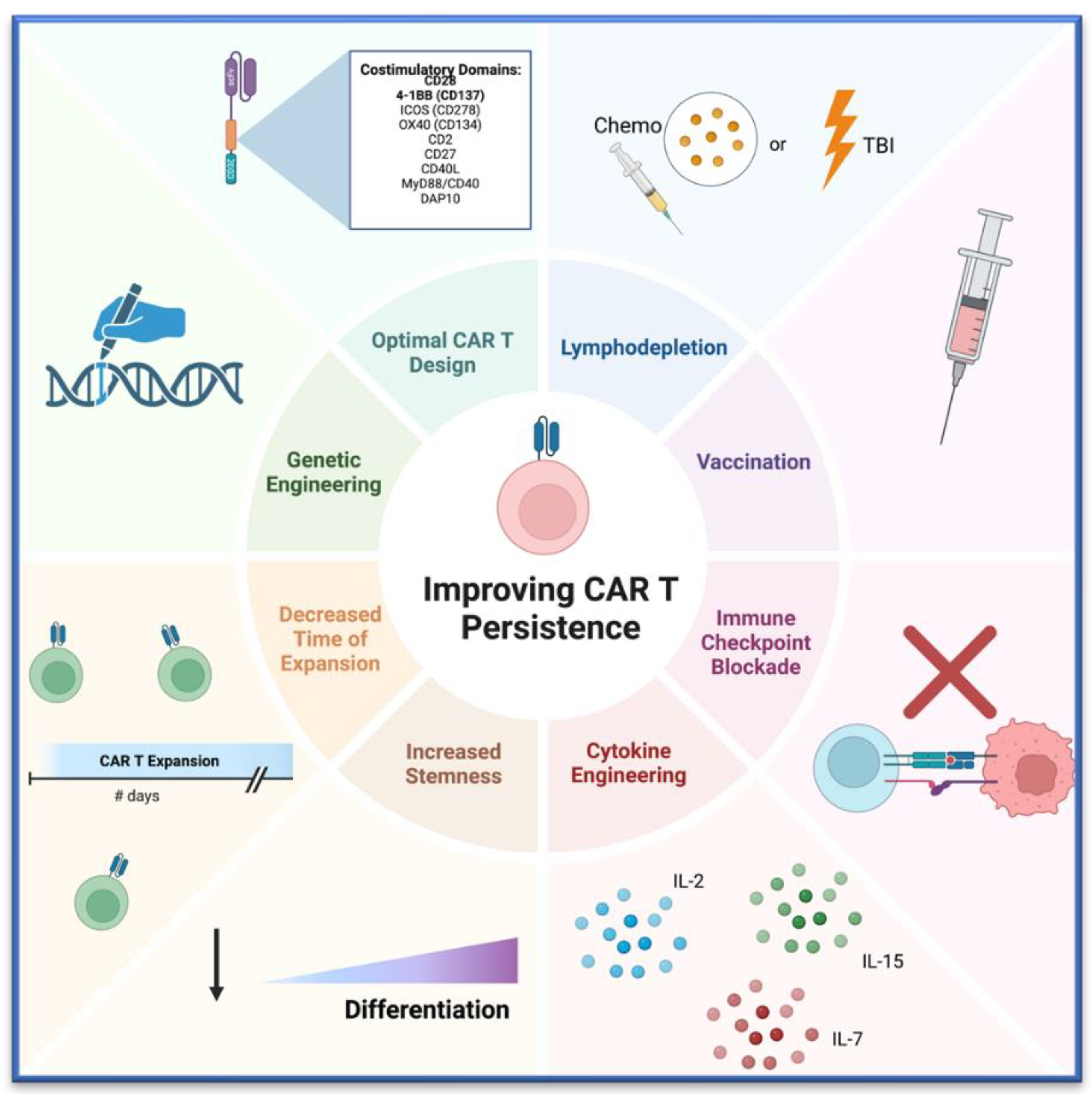 Cancers 16 02858 g004