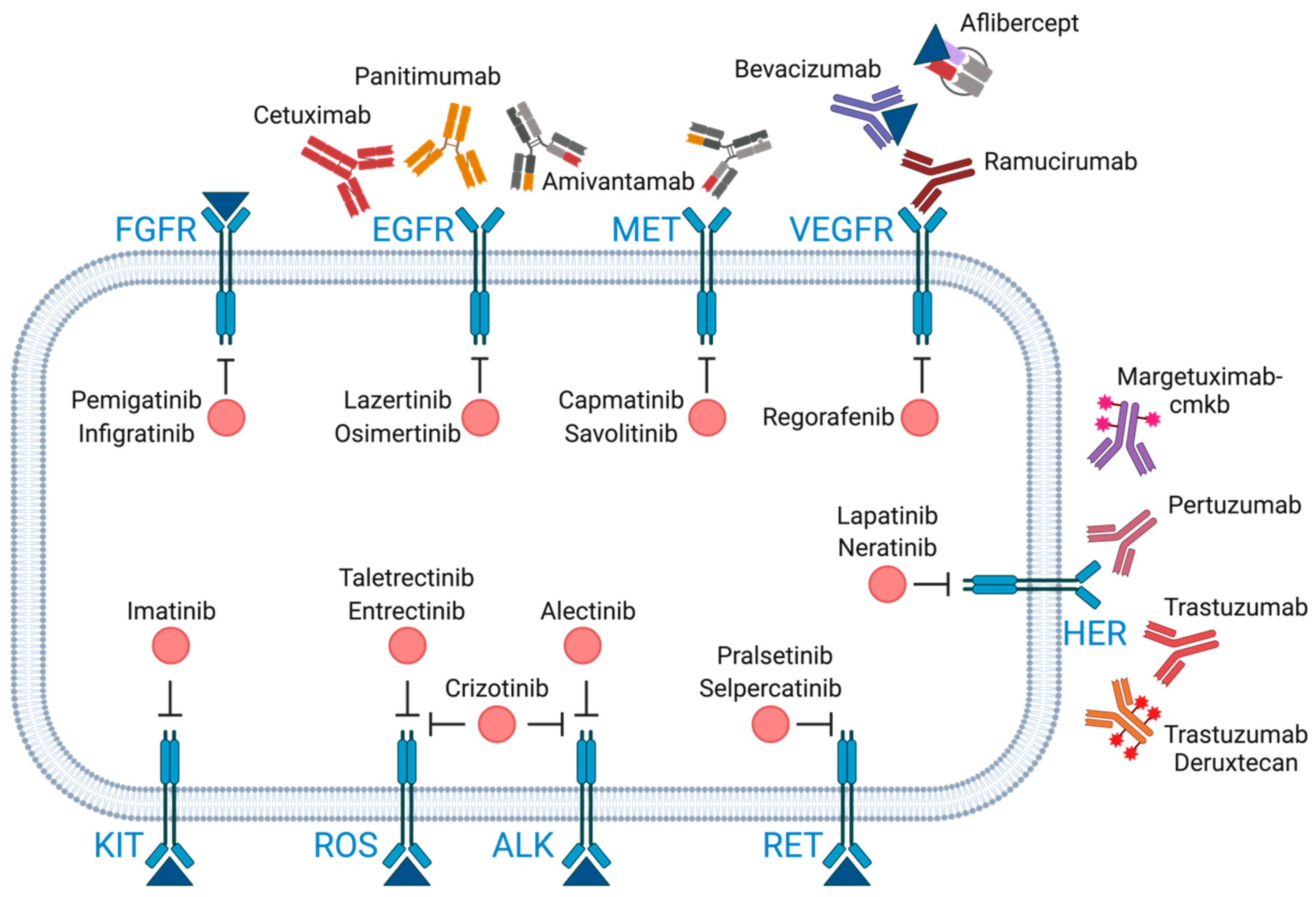 Cancers 16 02862 g002