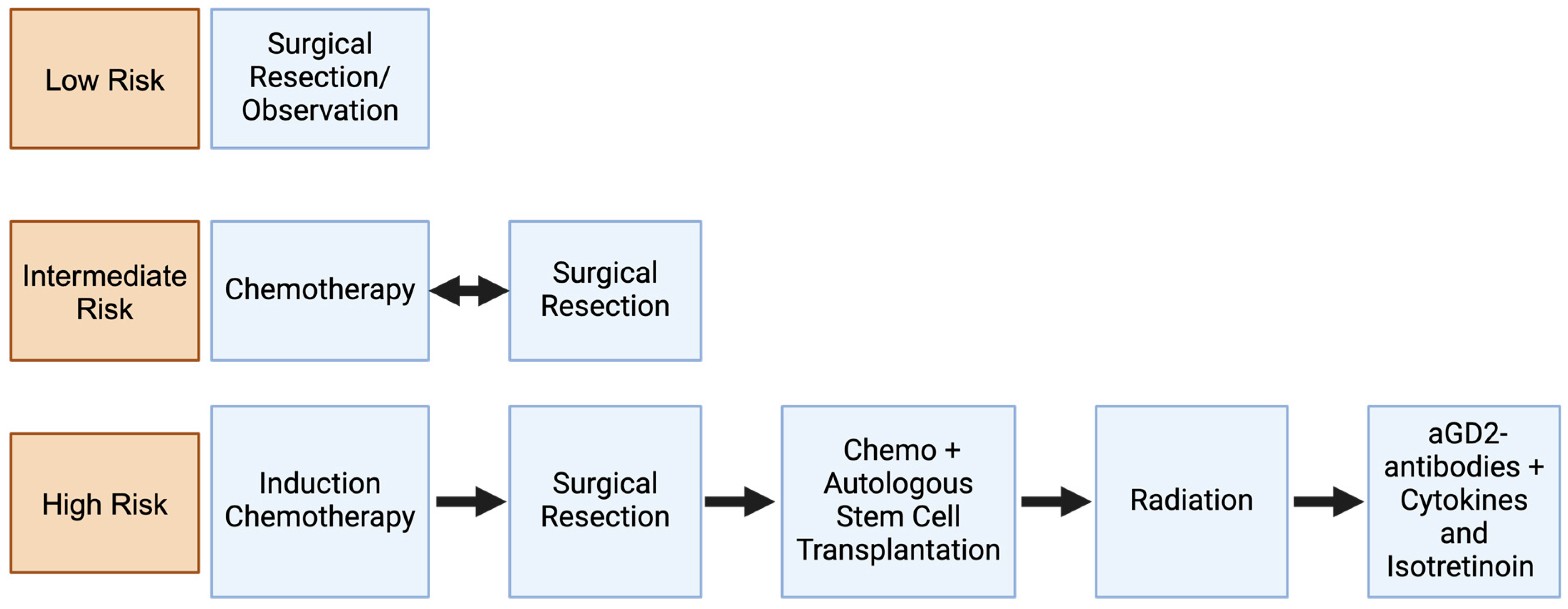 Cancers 16 02865 g001 Cancers 16 02865 g001