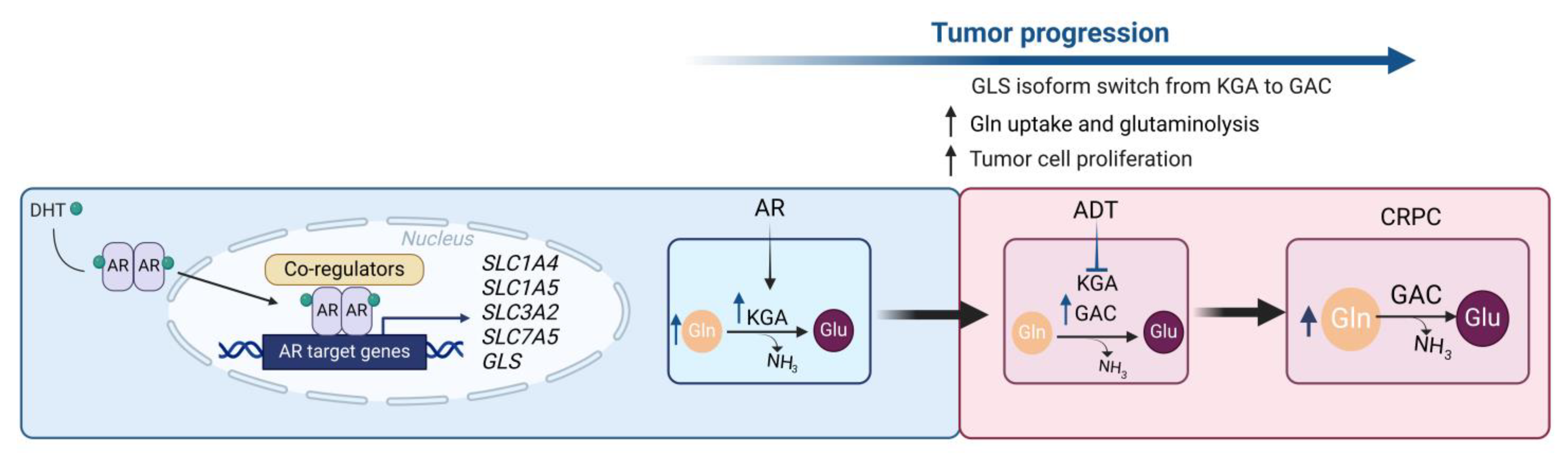 Cancers 16 02871 g003