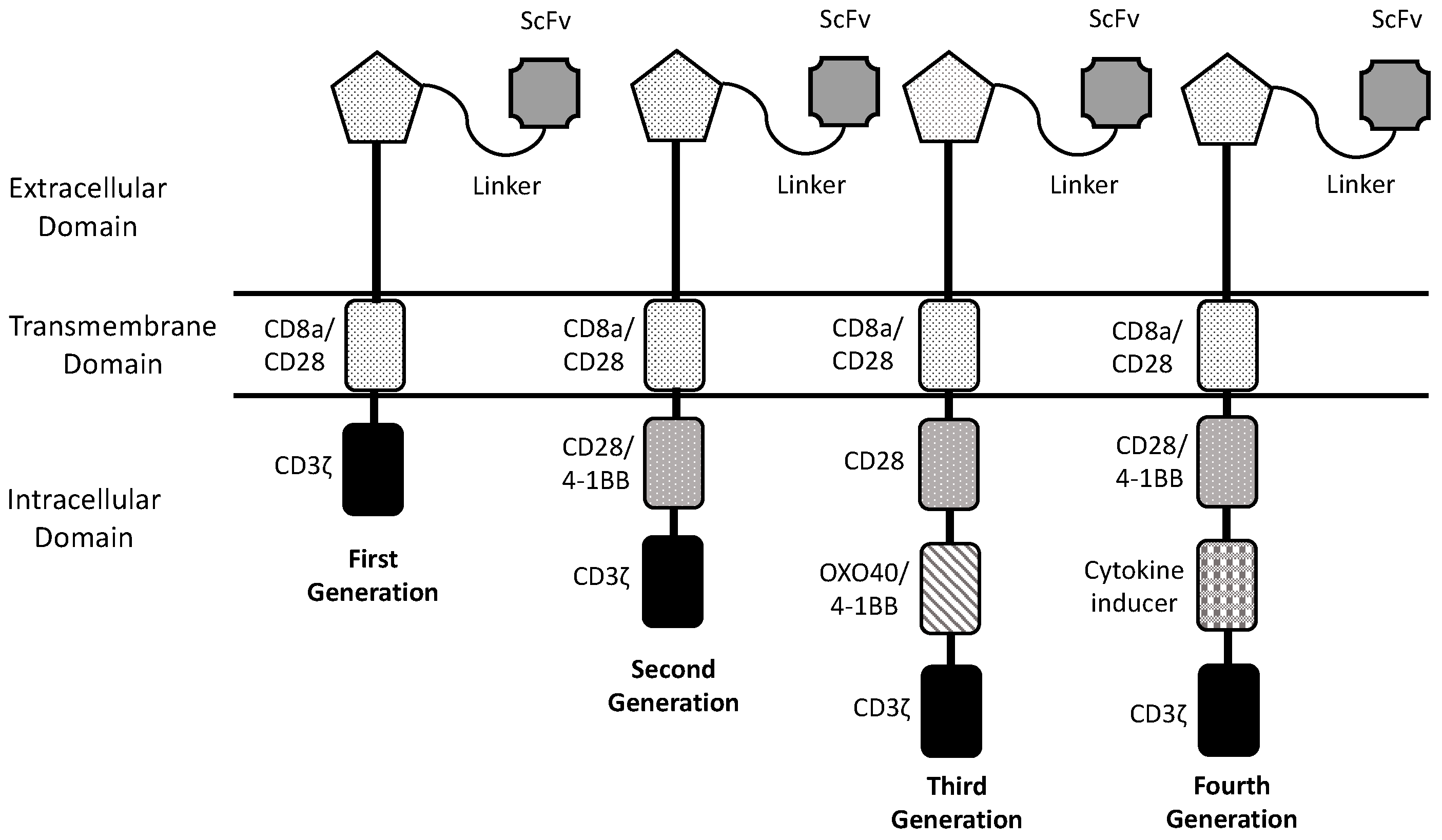 Cancers 16 02913 g001