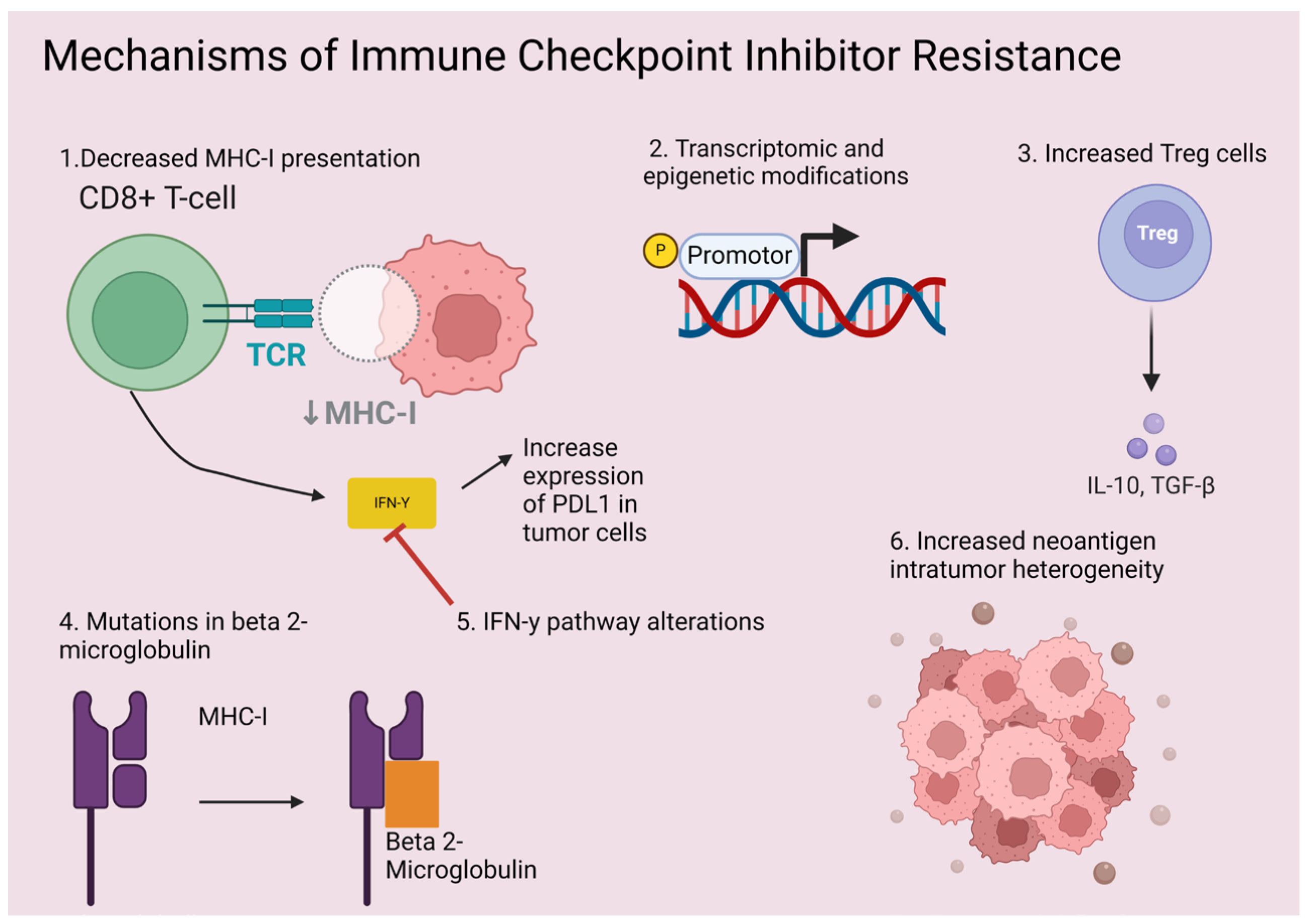 Cancers 16 02919 g001