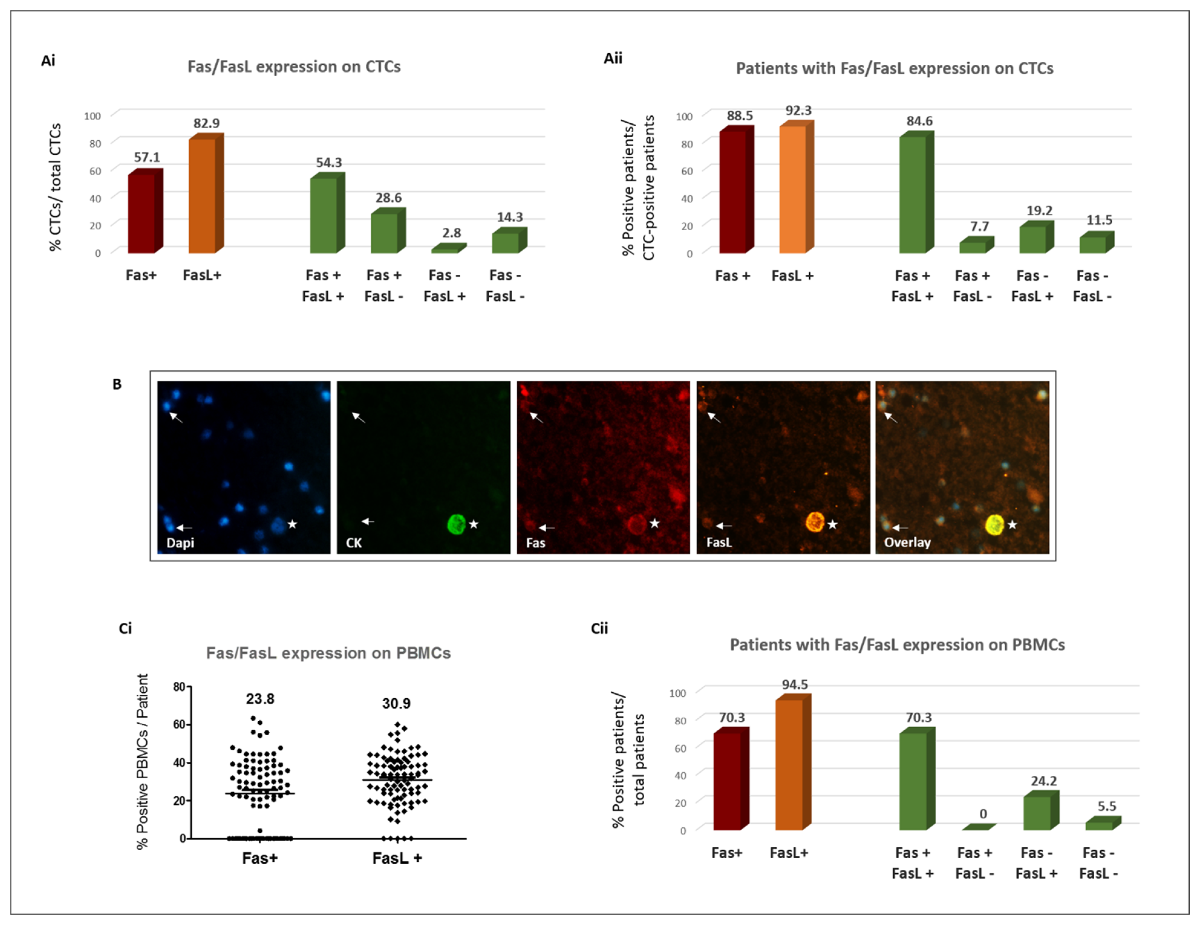 Cancers 16 02927 g001 Cancers 16 02927 g001