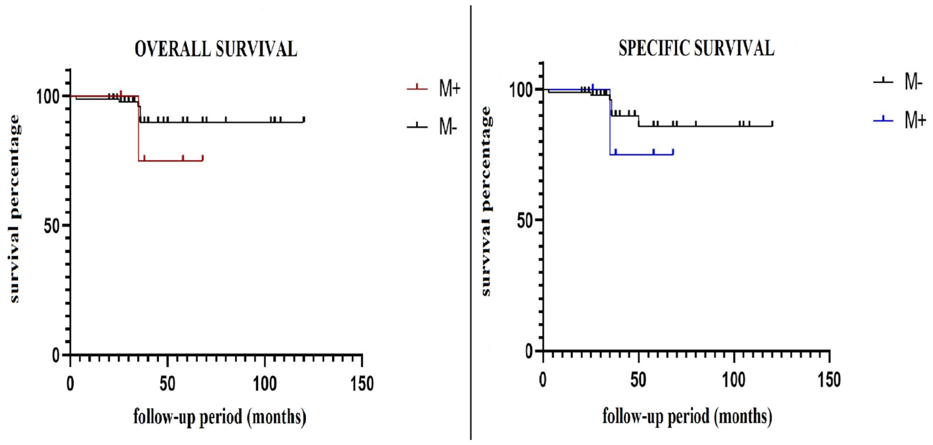 Cancers 16 02930 g001
