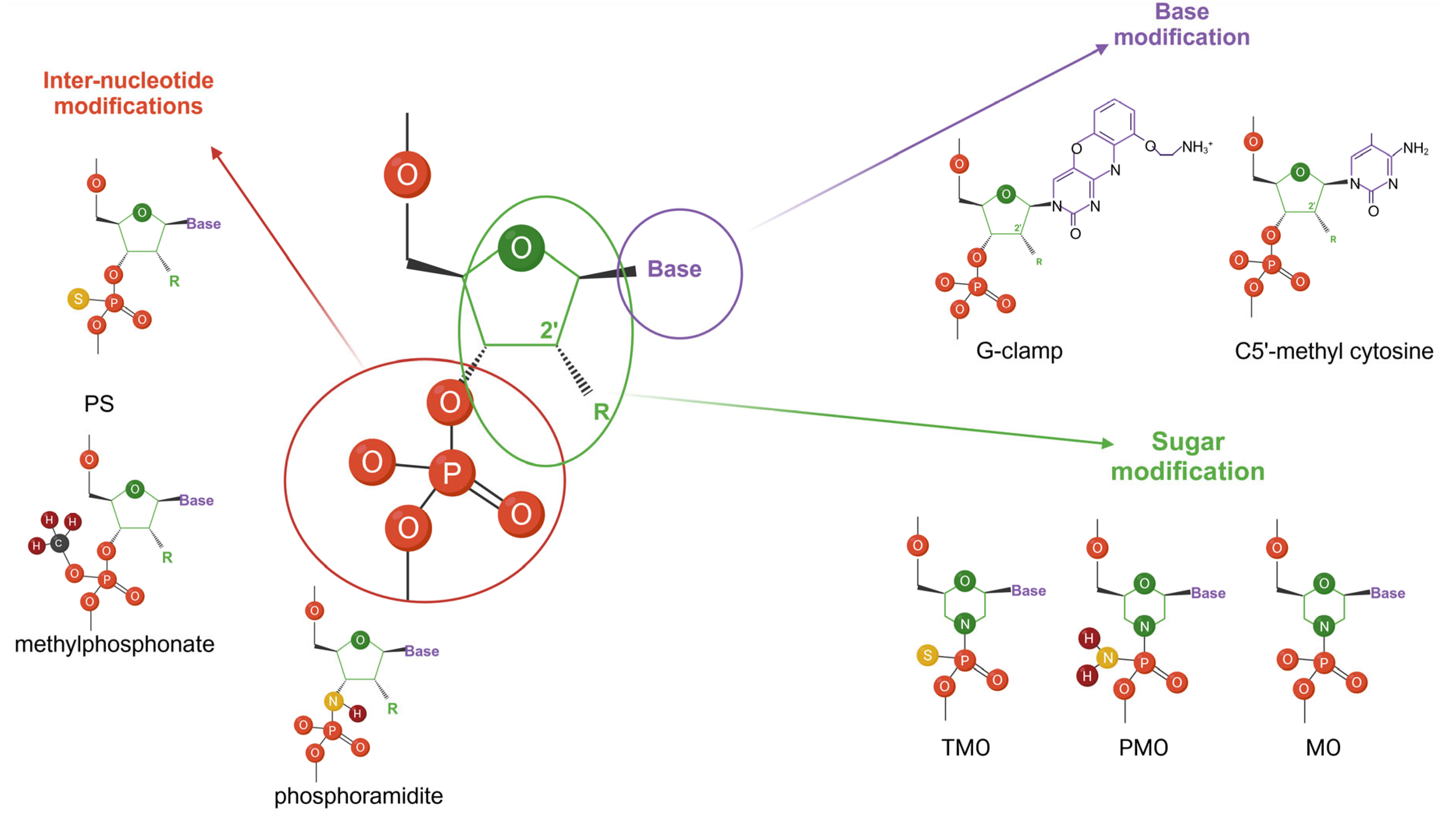 Cancers 16 02940 g002