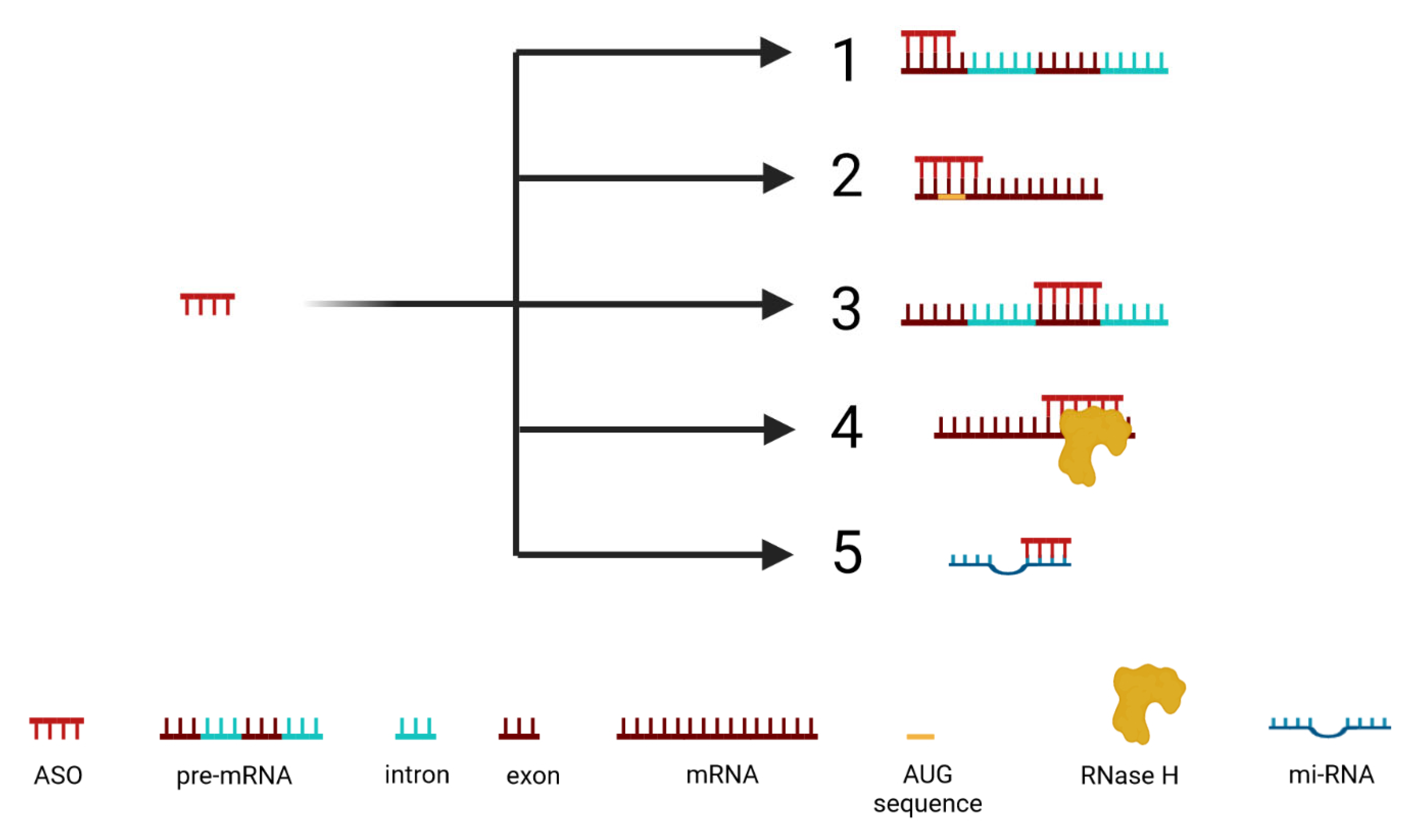Cancers 16 02940 g003