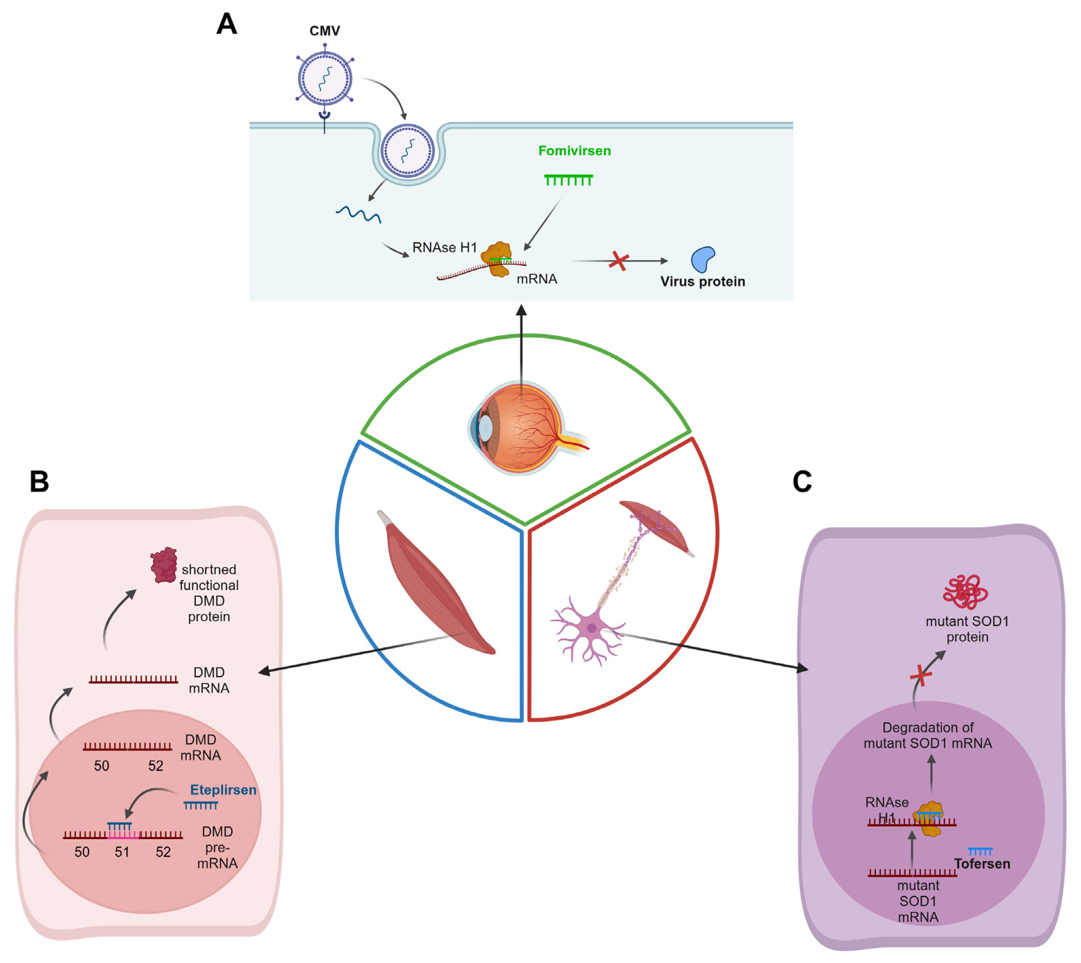 Cancers 16 02940 g005