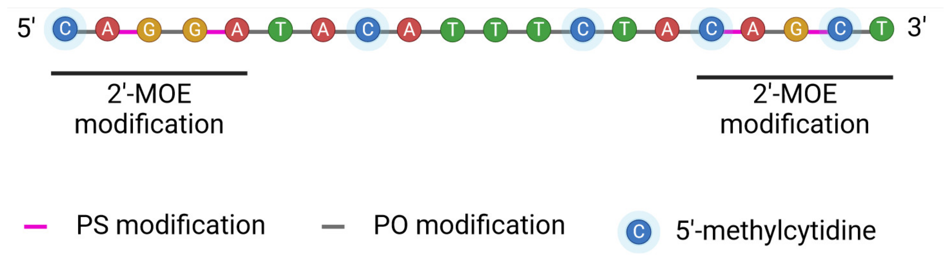 Cancers 16 02940 g006