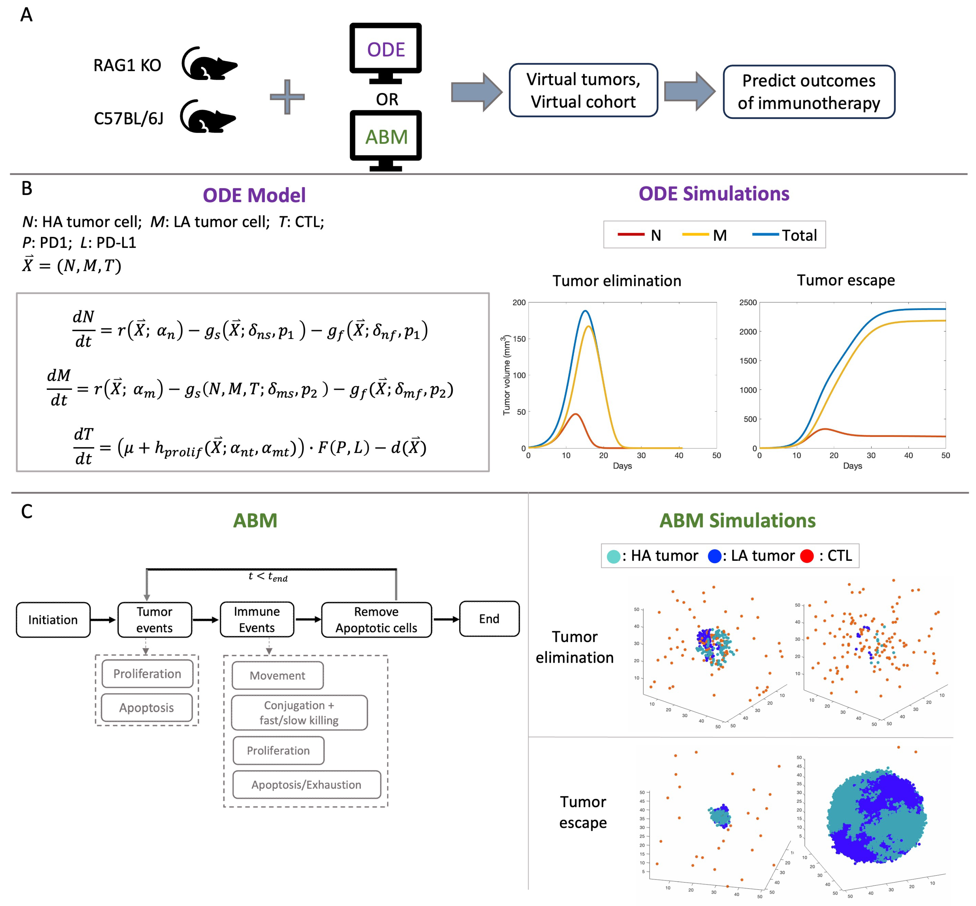 Cancers 16 02942 g001