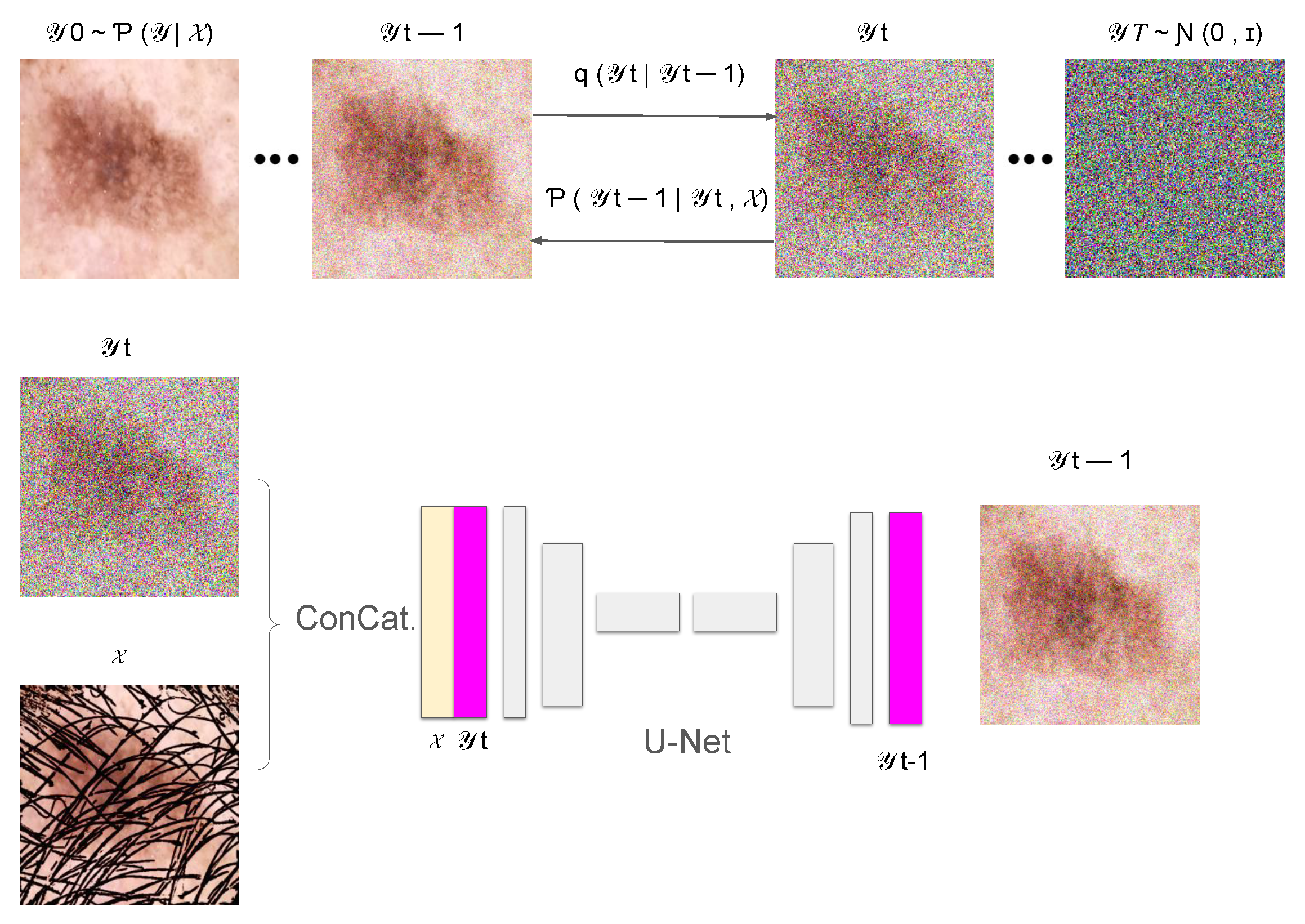 Cancers 16 02947 g001