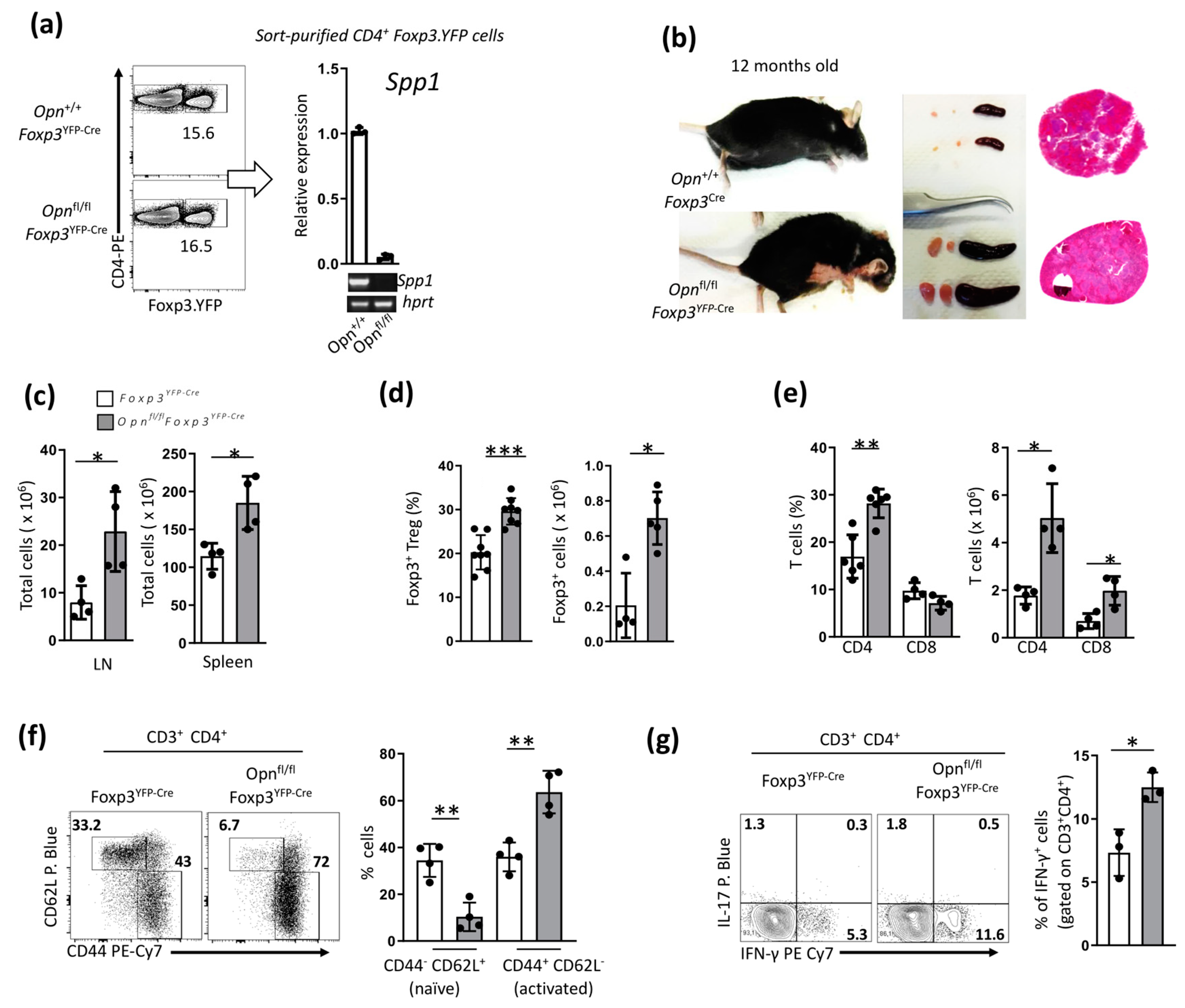 Cancers 16 02952 g001