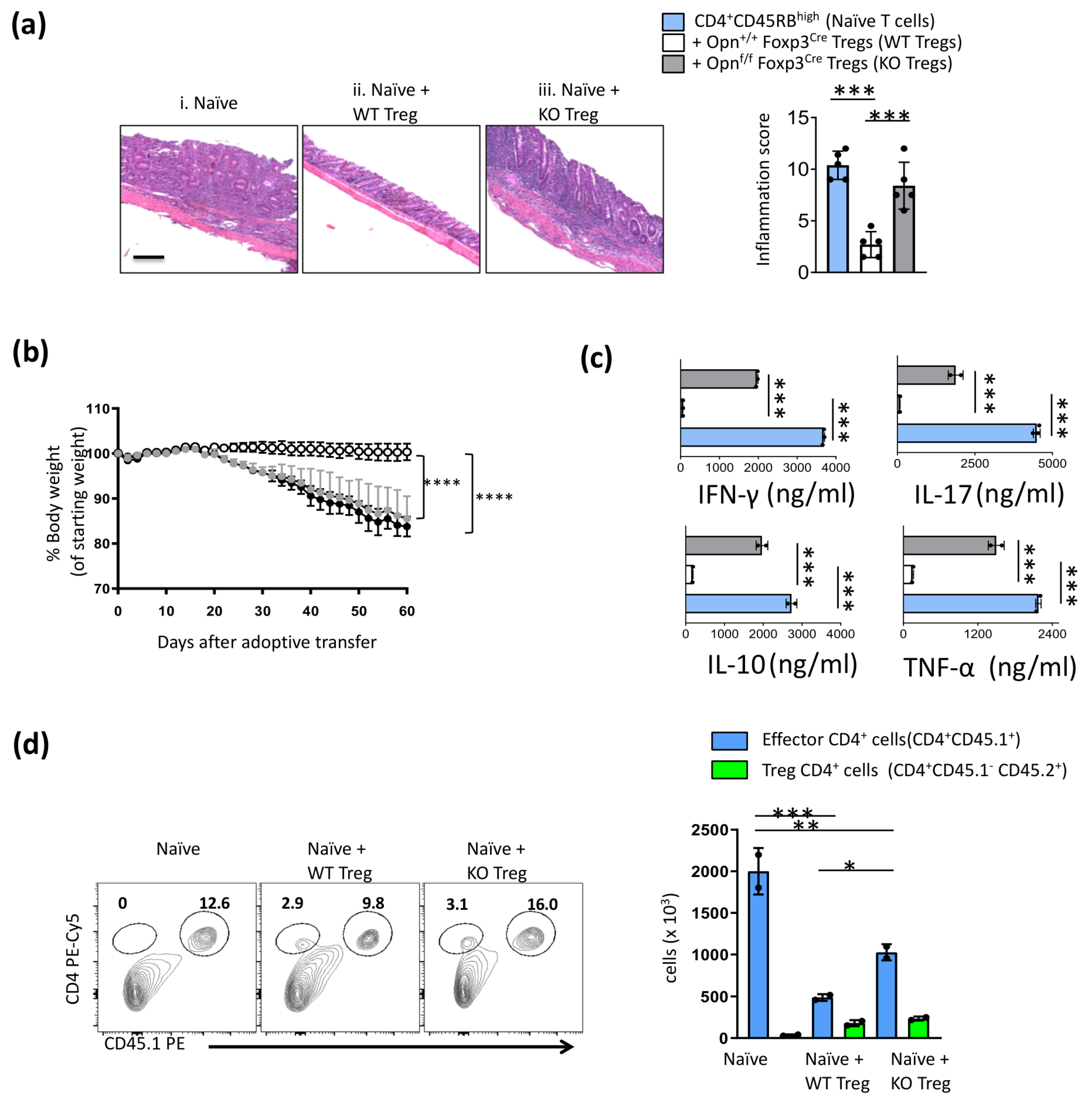 Cancers 16 02952 g002