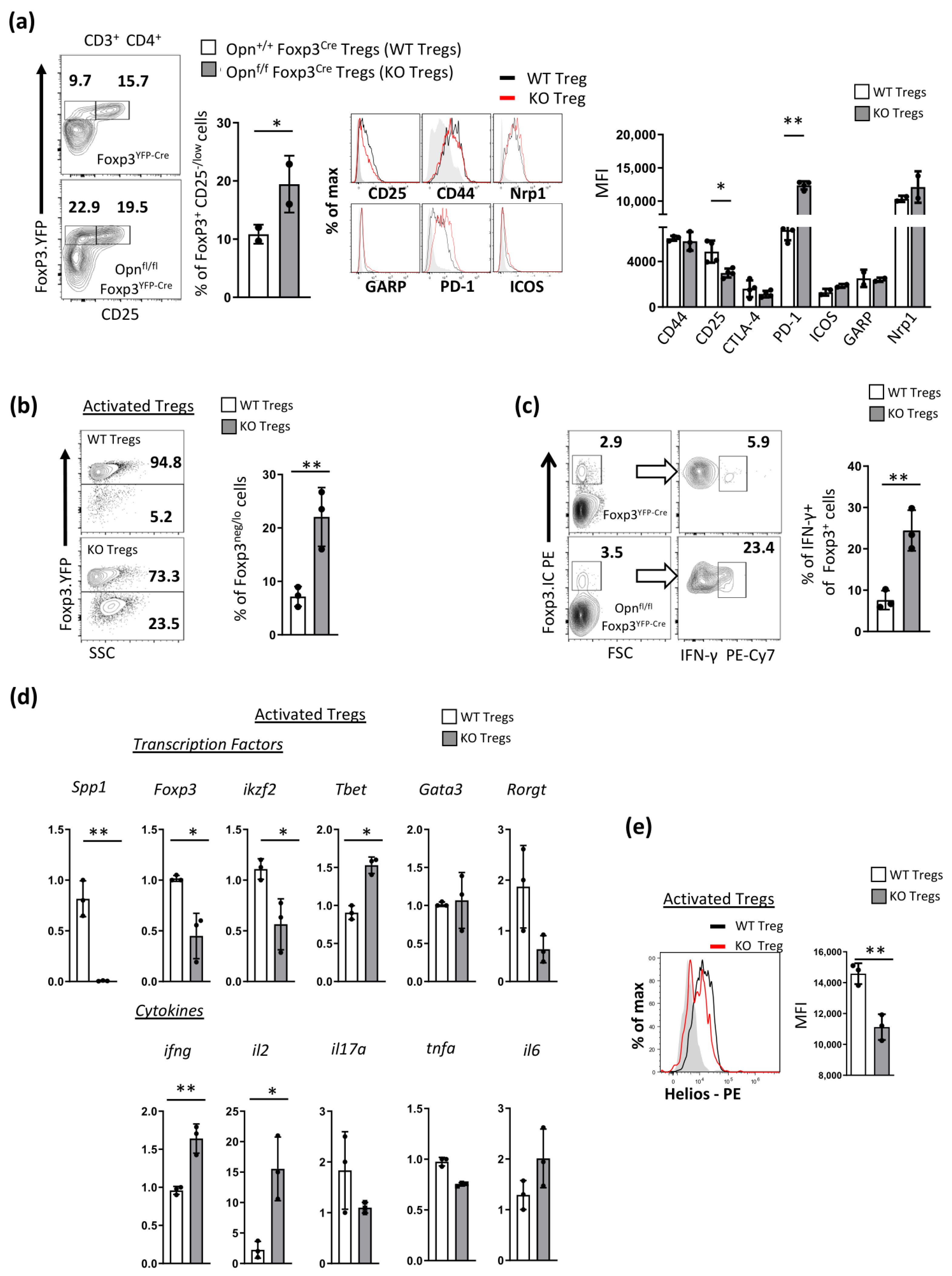 Cancers 16 02952 g003