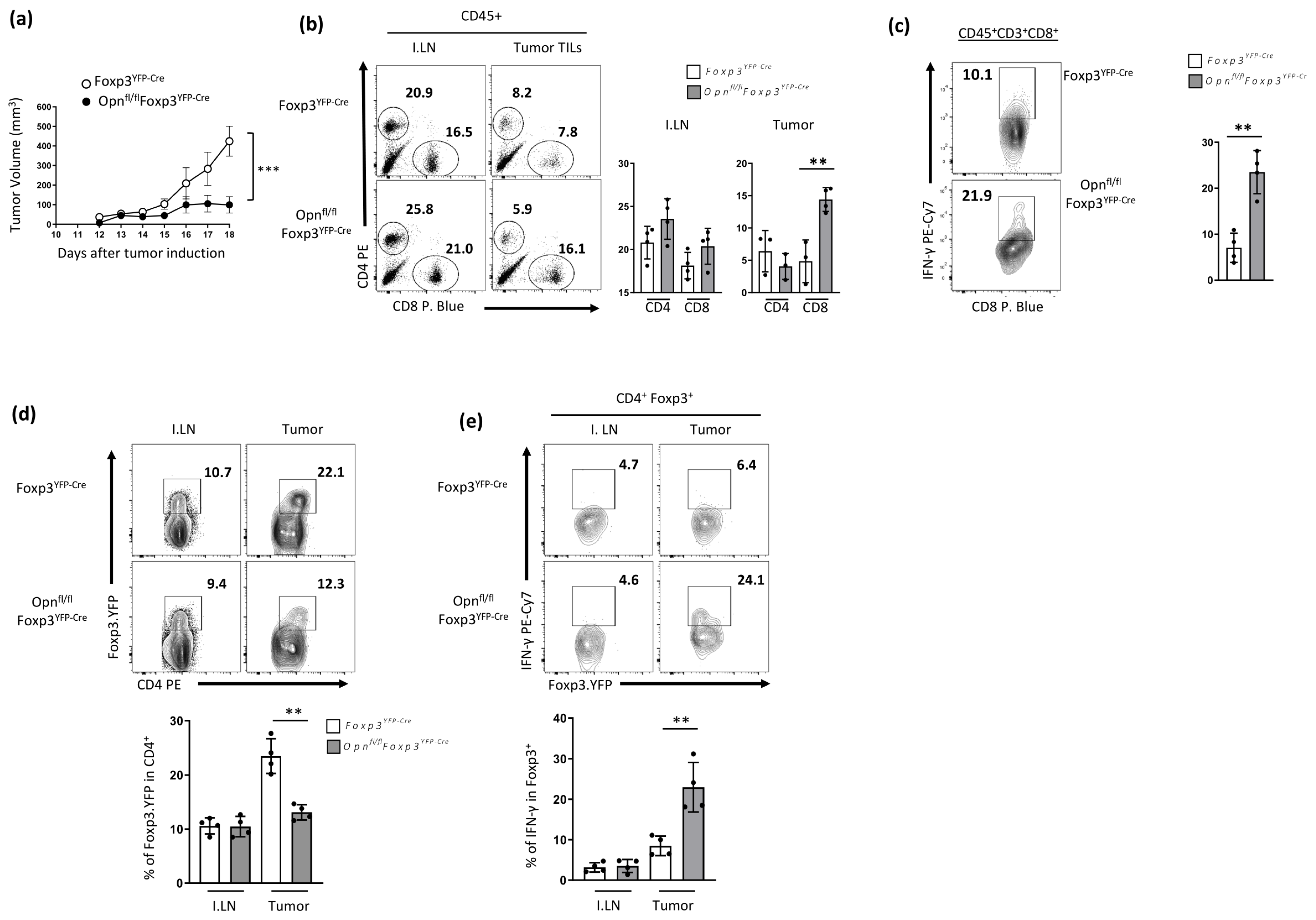 Cancers 16 02952 g004
