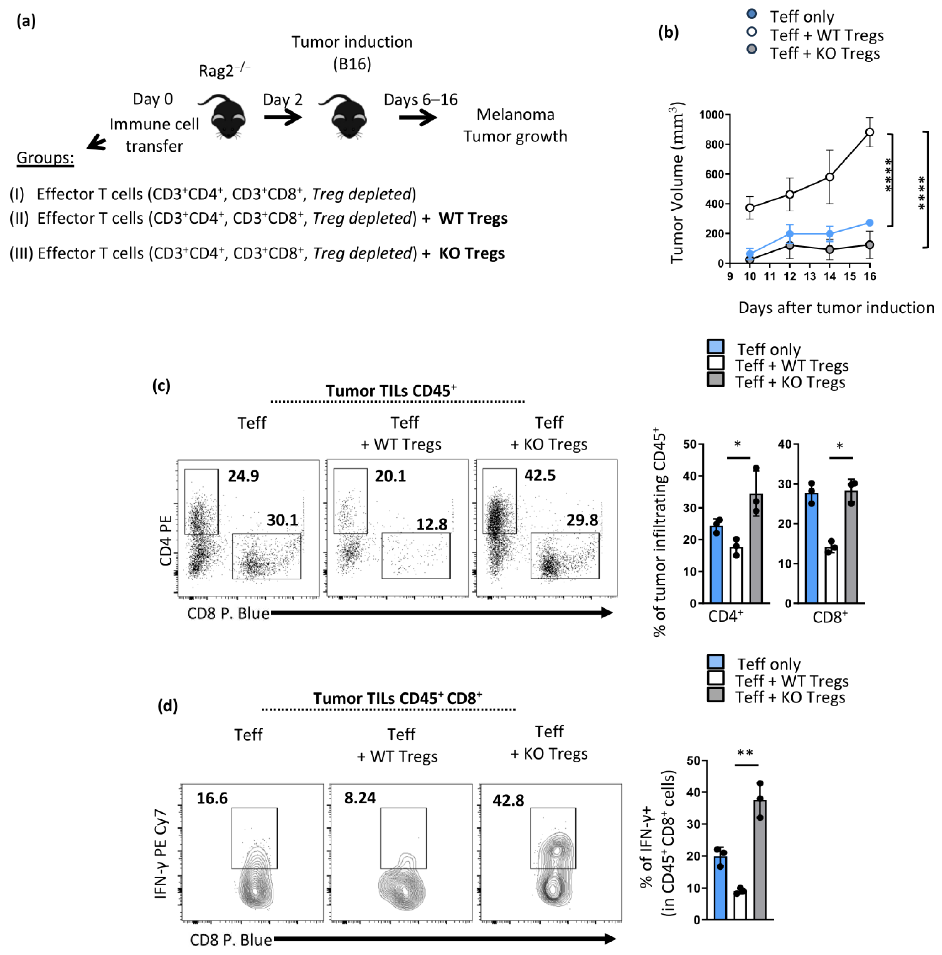 Cancers 16 02952 g005