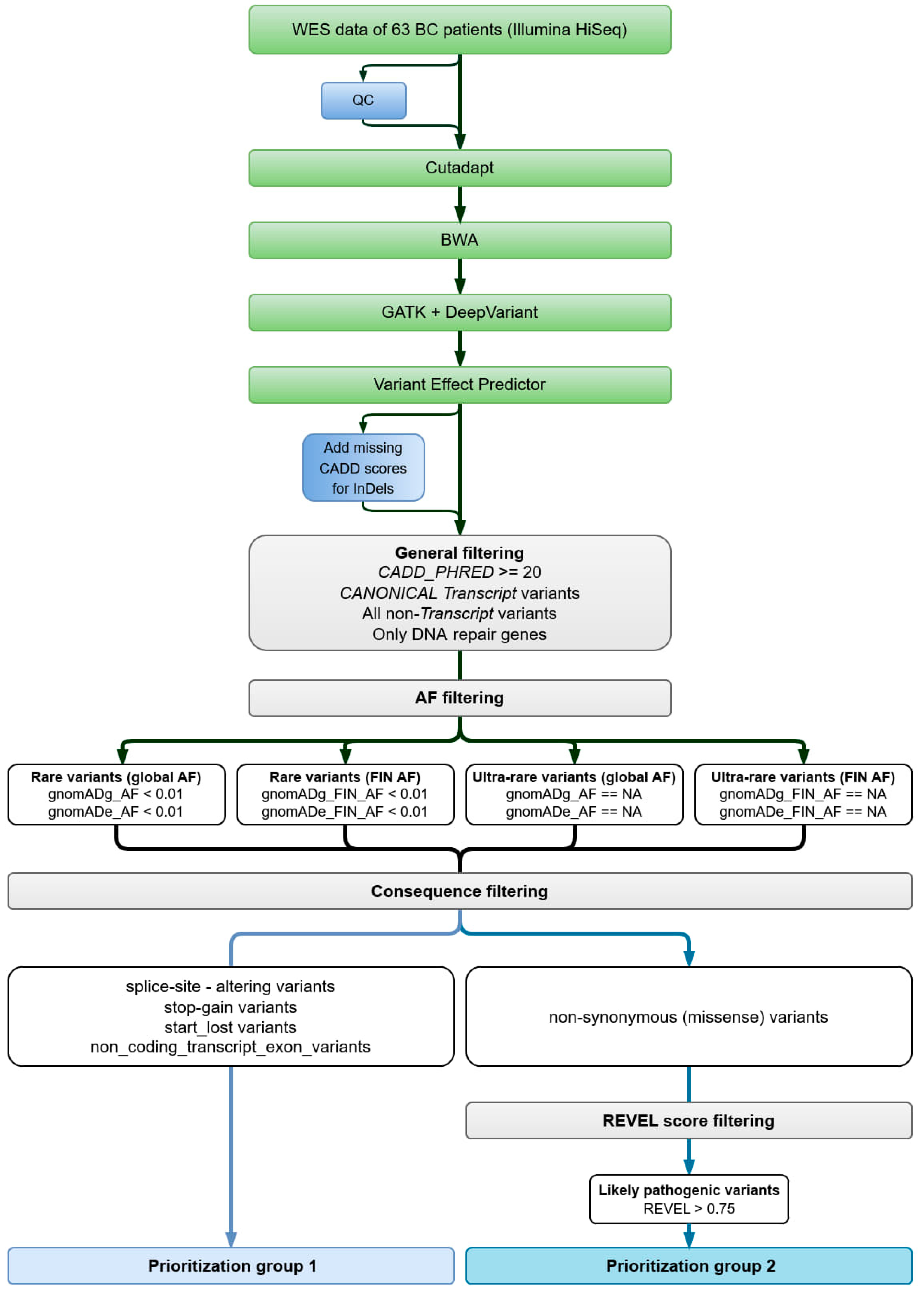 Cancers 16 02955 g001 Cancers 16 02955 g001
