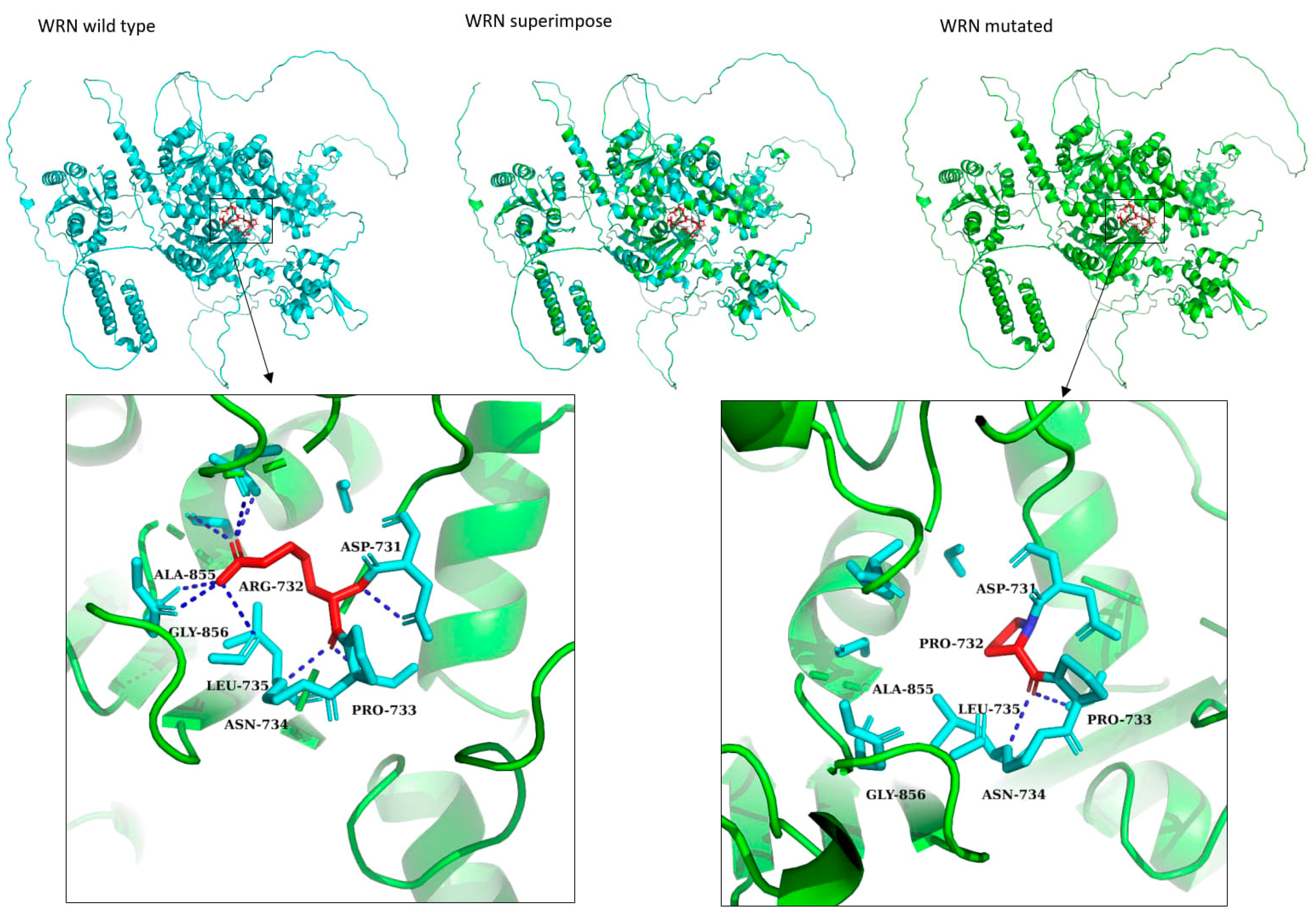 Cancers 16 02955 g002 Cancers 16 02955 g002