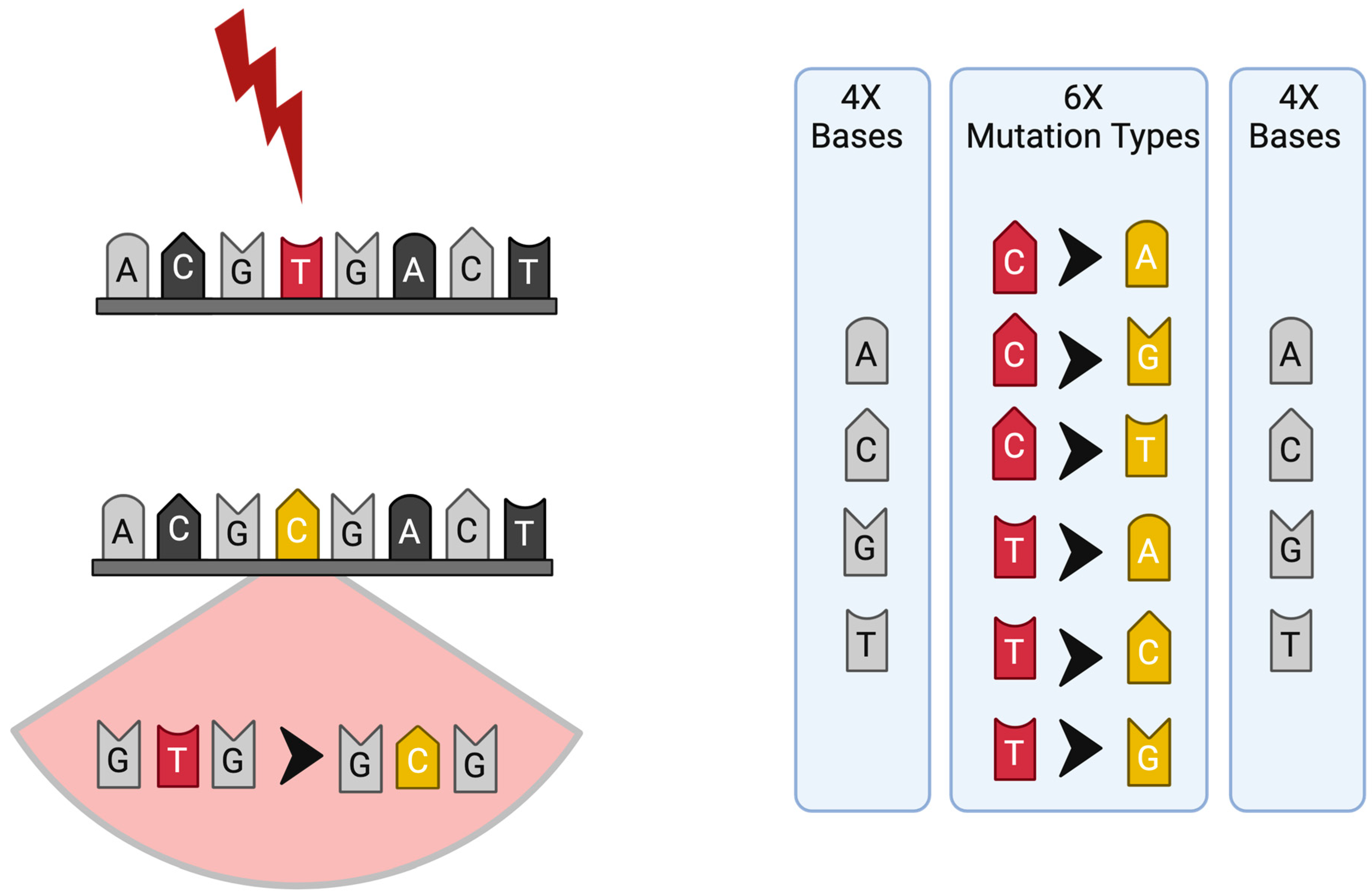 Cancers 16 02956 g001