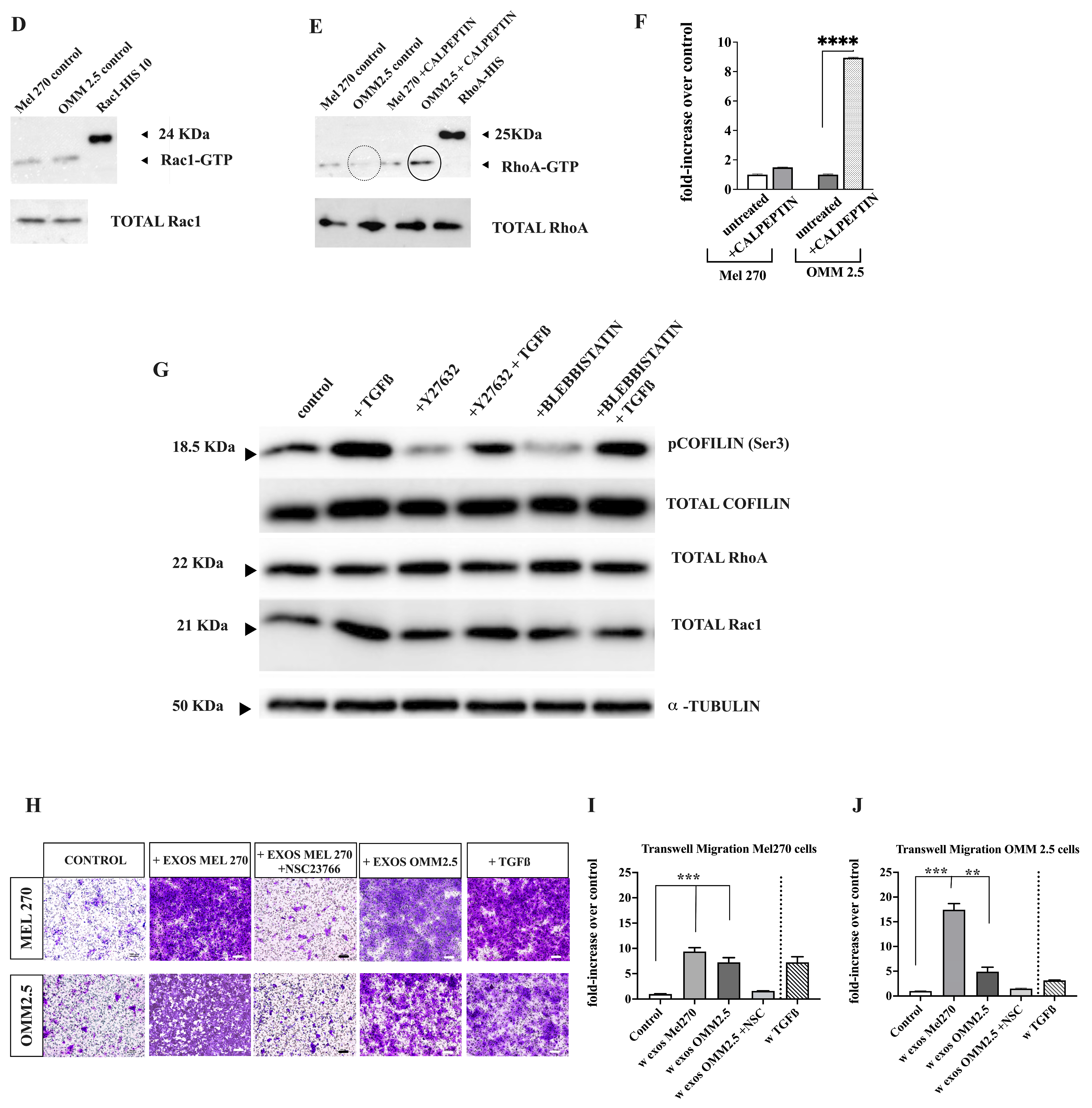 Cancers 16 02977 g003b