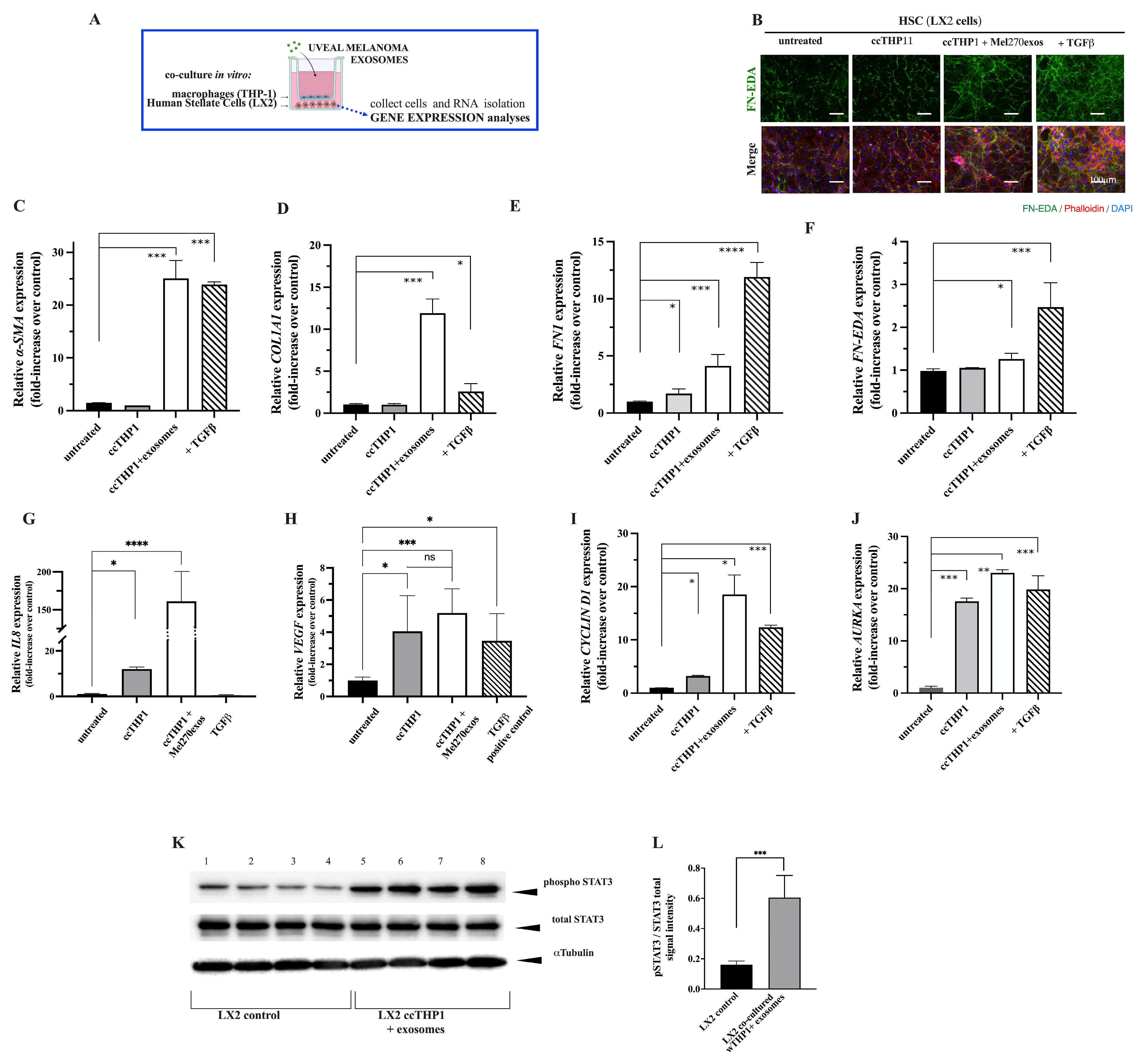 Cancers 16 02977 g006