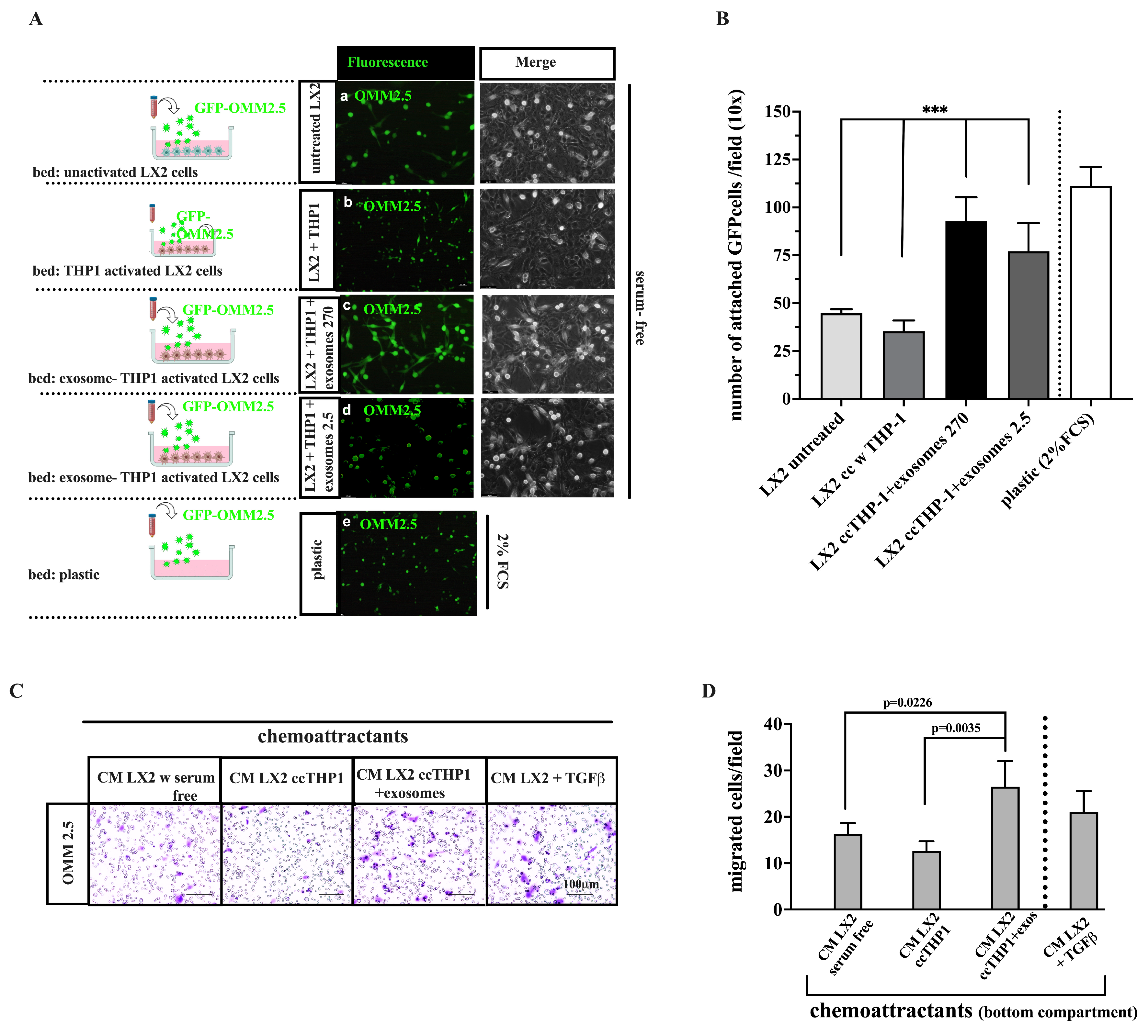 Cancers 16 02977 g007