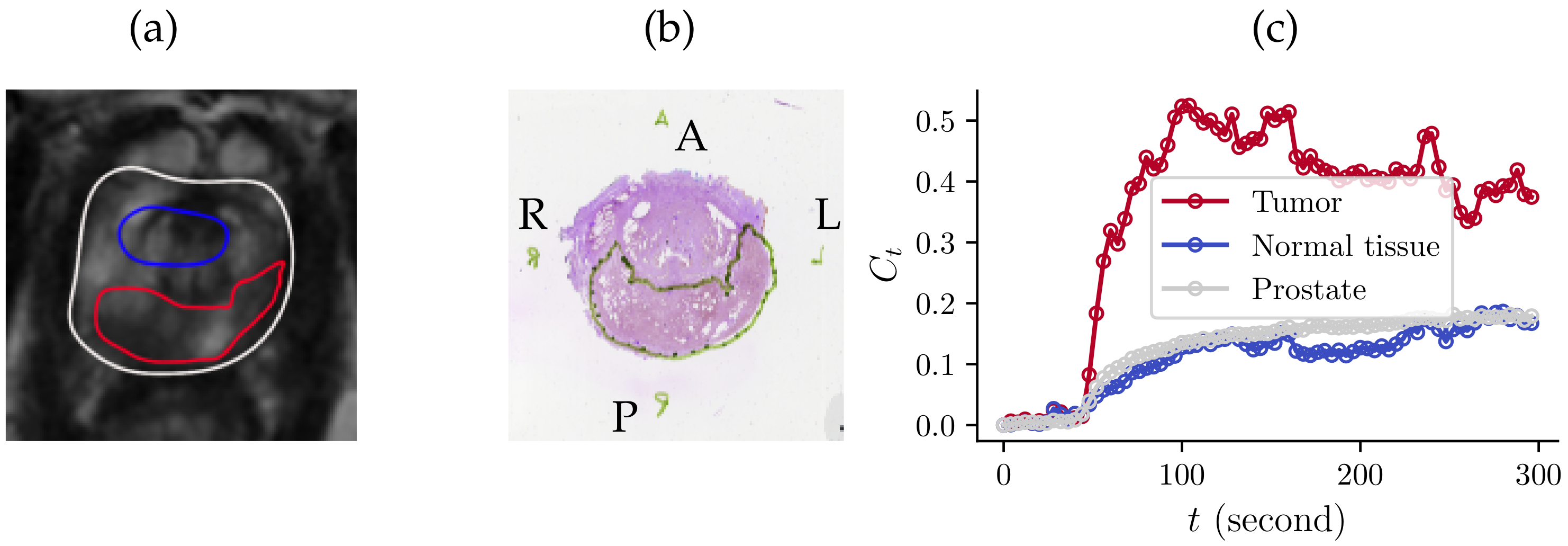 Cancers 16 02983 g001