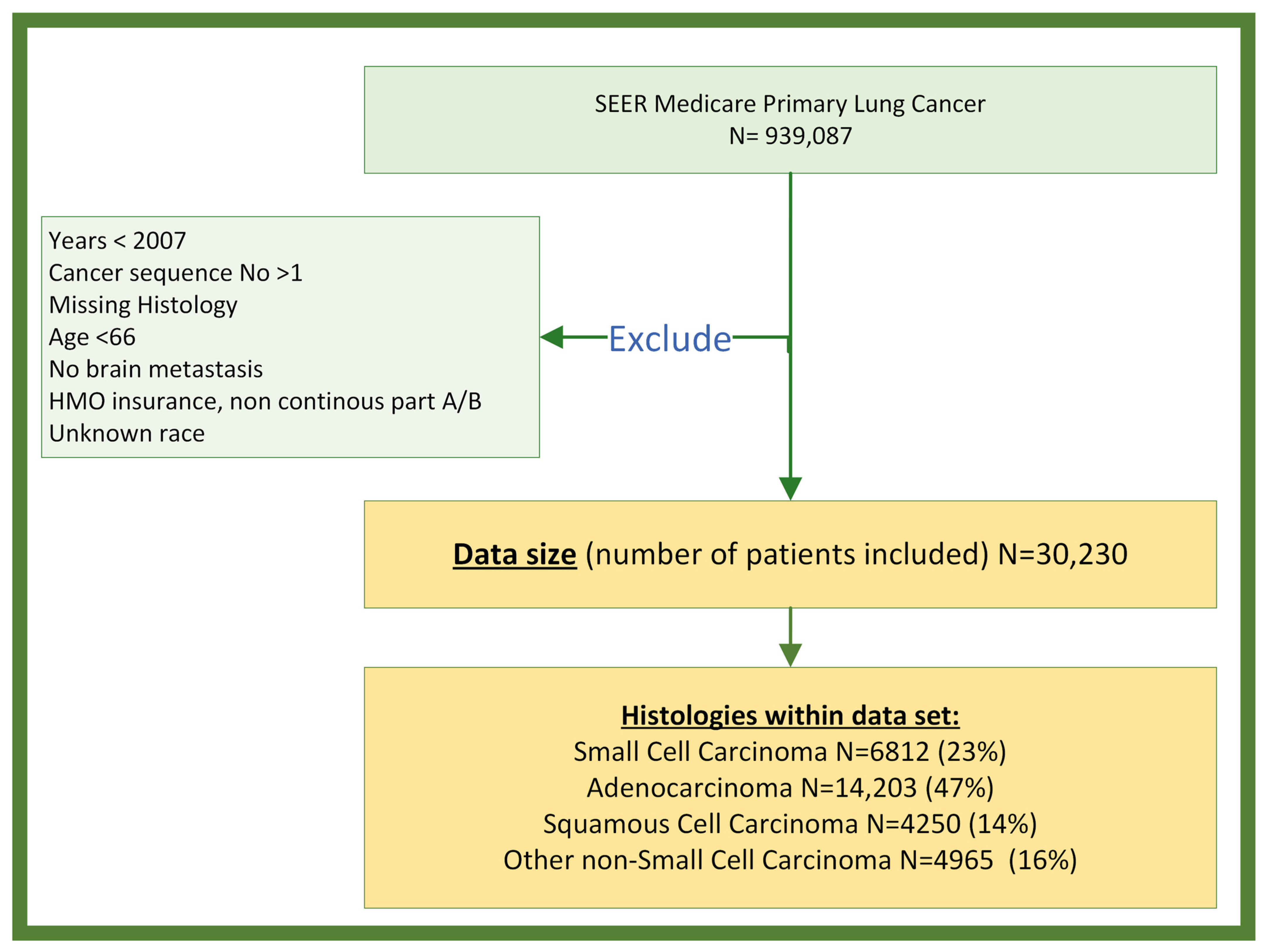 Cancers 16 02986 g001
