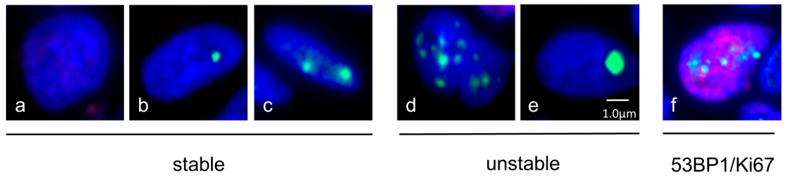 Cancers 16 02987 g002